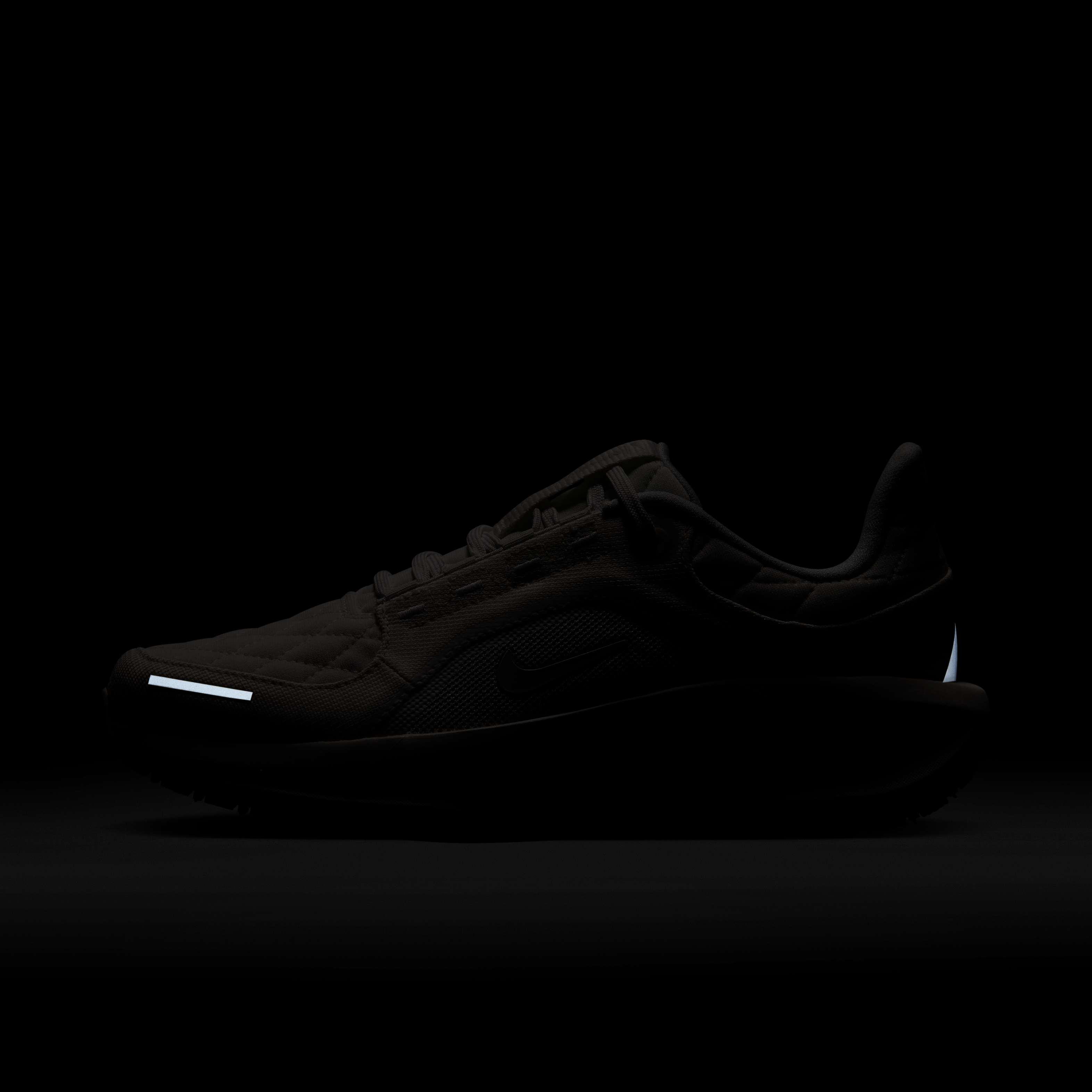 Nike Winflo 11 GORE-TEX image number 9