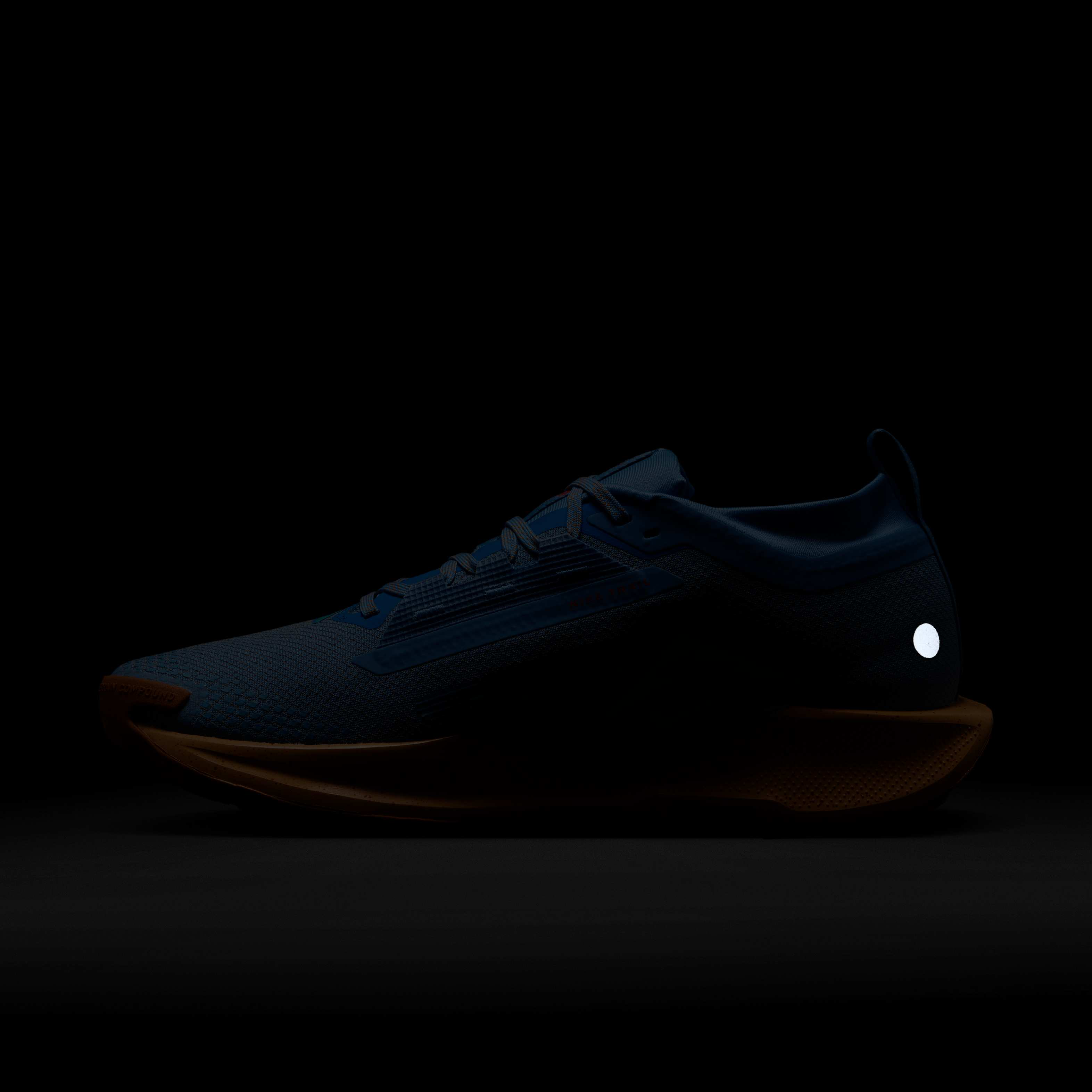 Nike Pegasus Trail 5 GORE-TEX image number 8