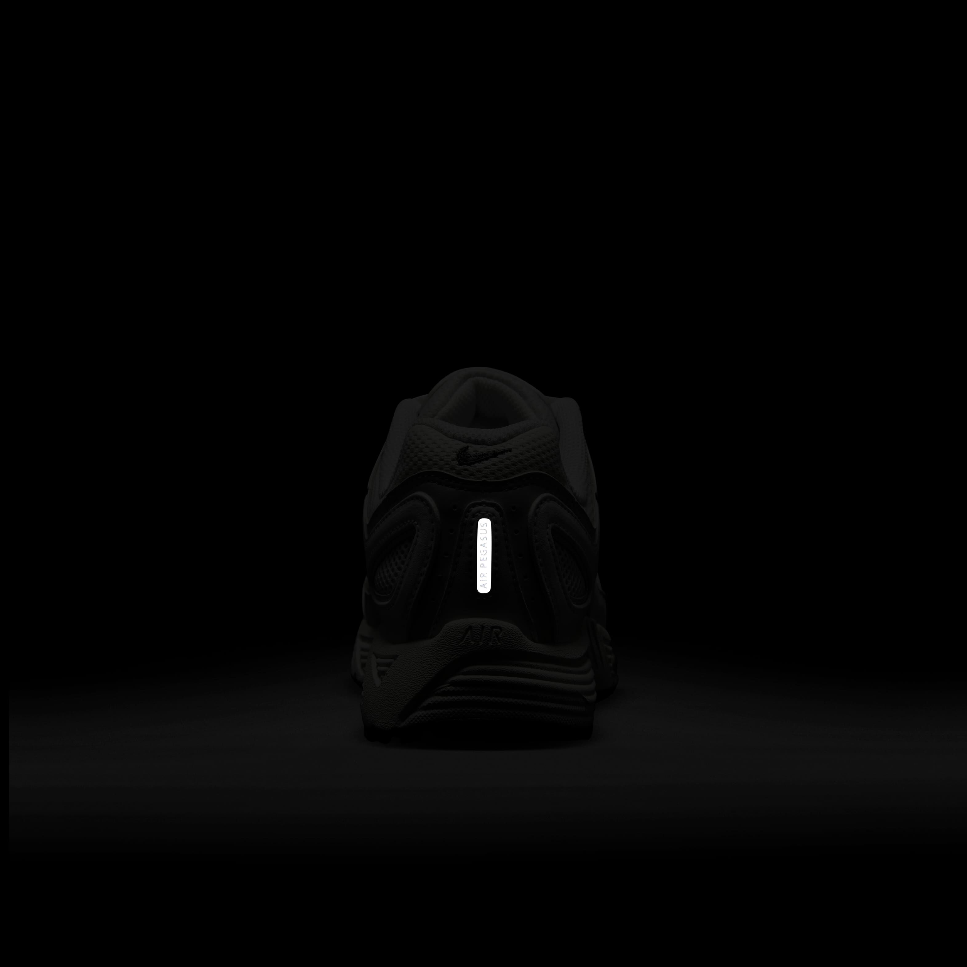 نايكي اير بيجاسوس 2005 image number 9