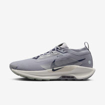 Nike Pegasus Trail 5 GORE-TEX