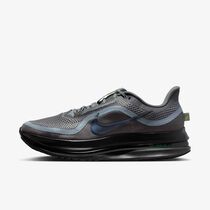 Nike Pegasus Premium