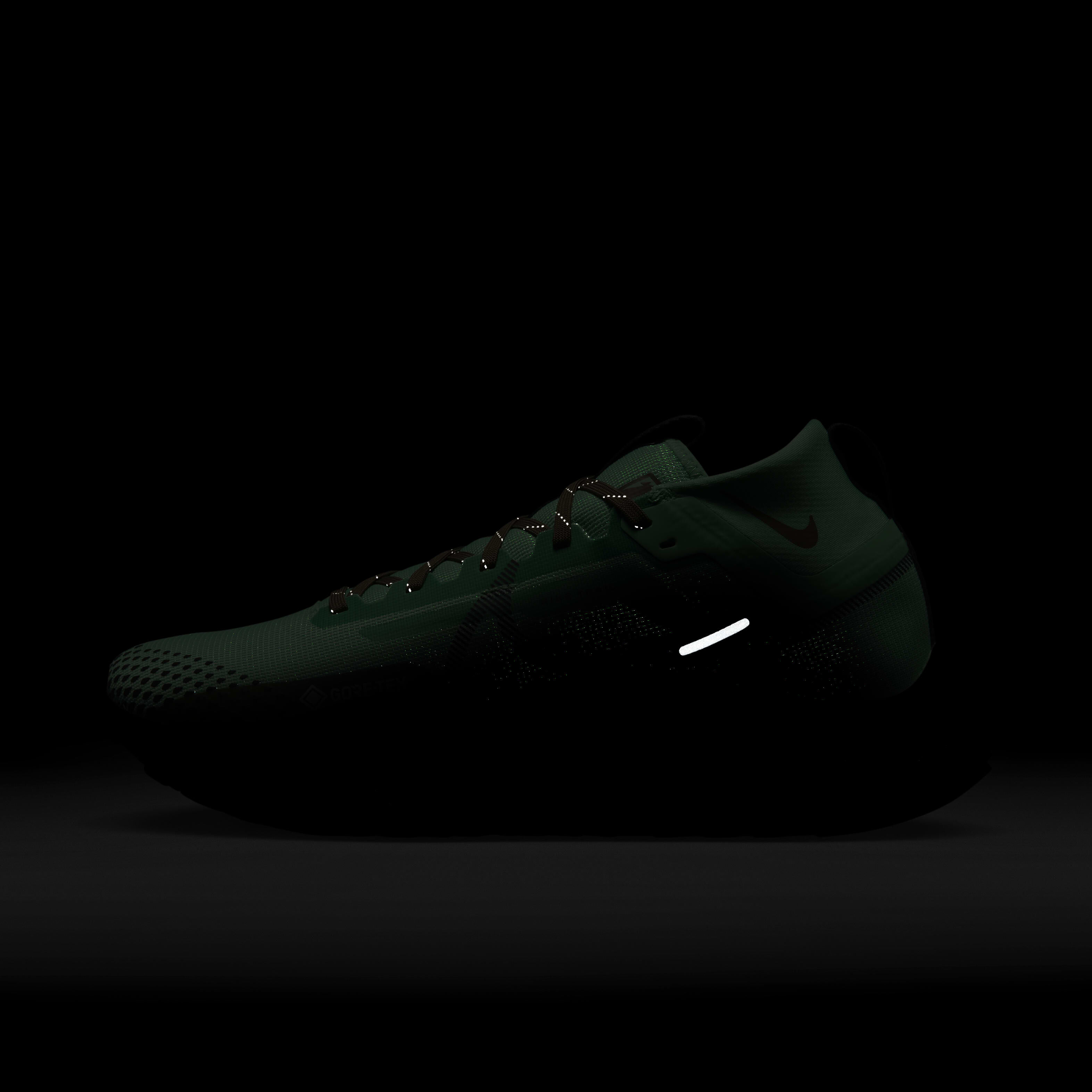 Nike Pegasus Trail 4 GORE-TEX image number 9