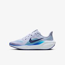 Nike Pegasus 41