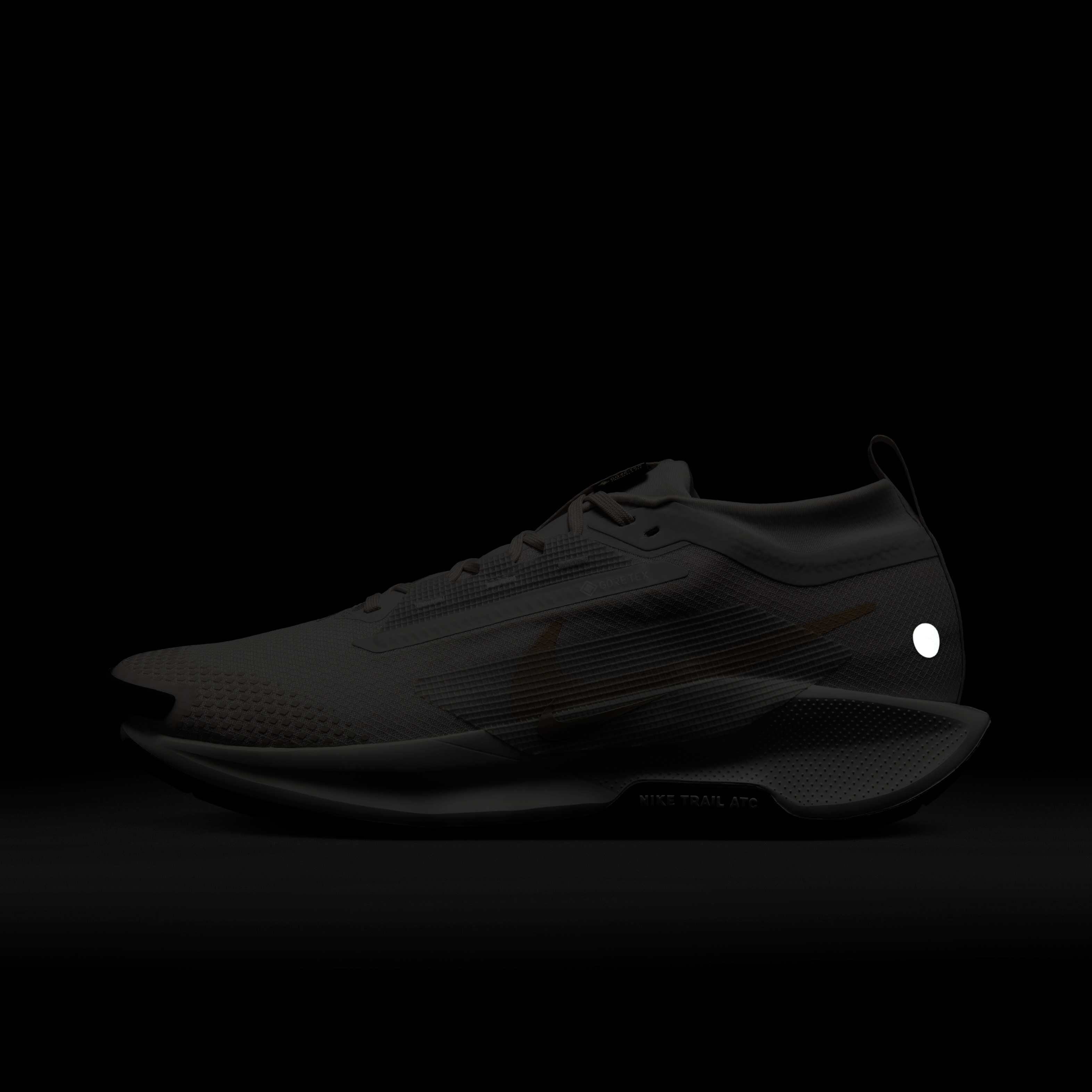 Nike Pegasus Trail 5 GORE-TEX image number 9