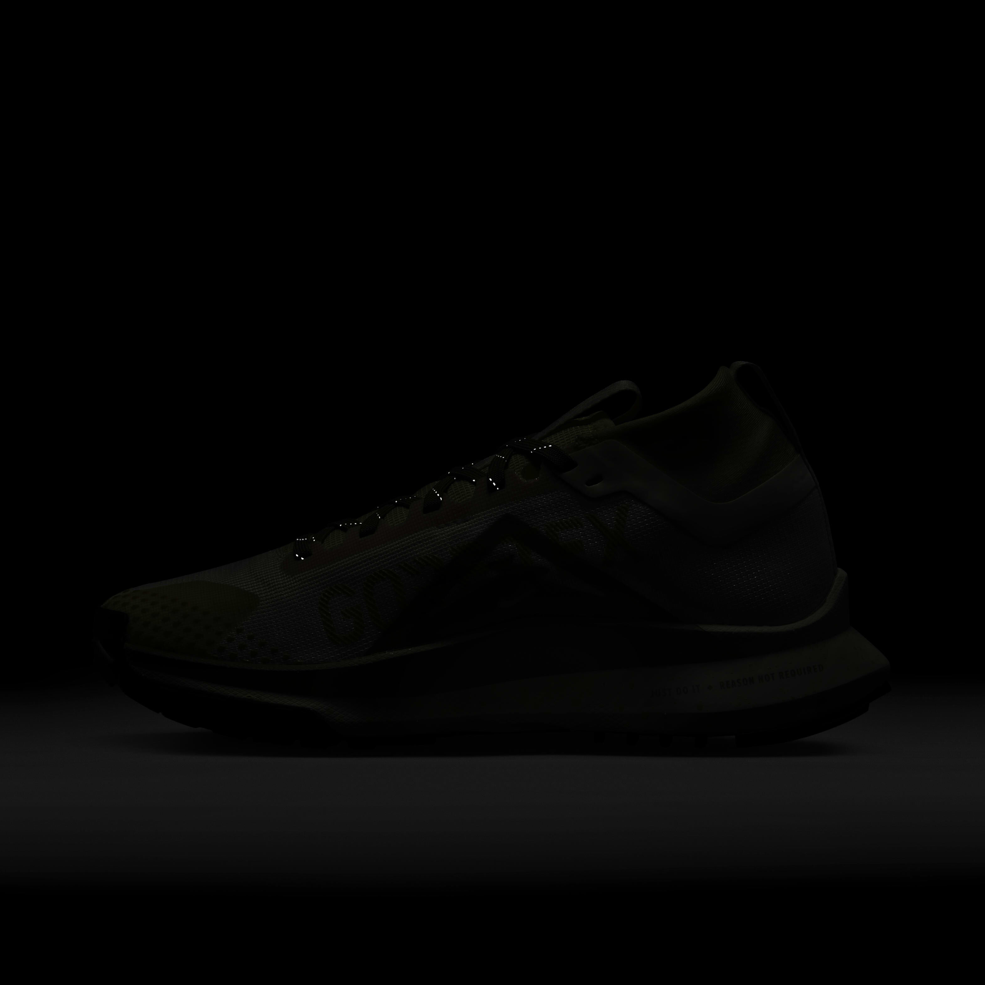 Nike Pegasus Trail 4 GORE-TEX image number 10