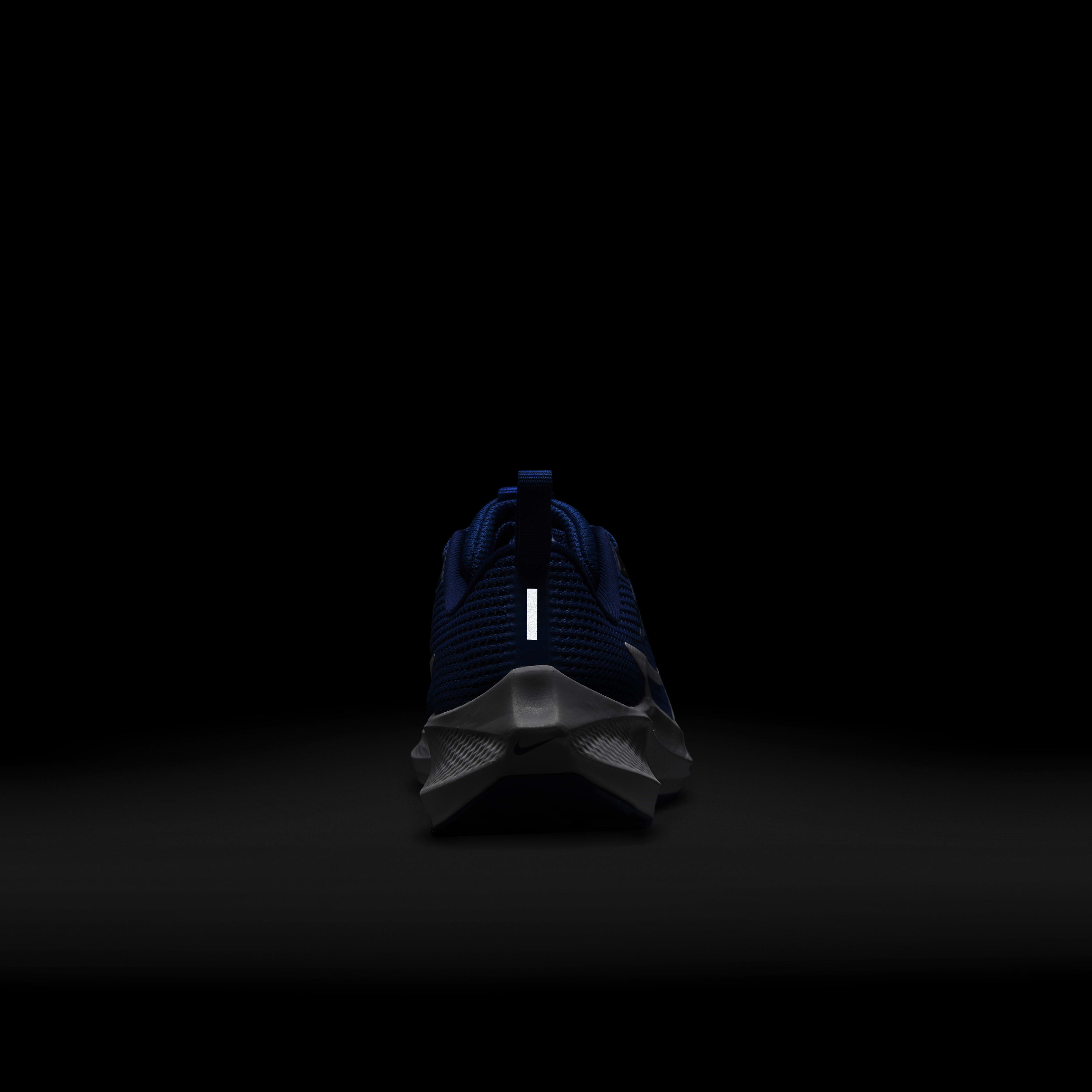 اير زووم بيجاسوس 40 image number 8