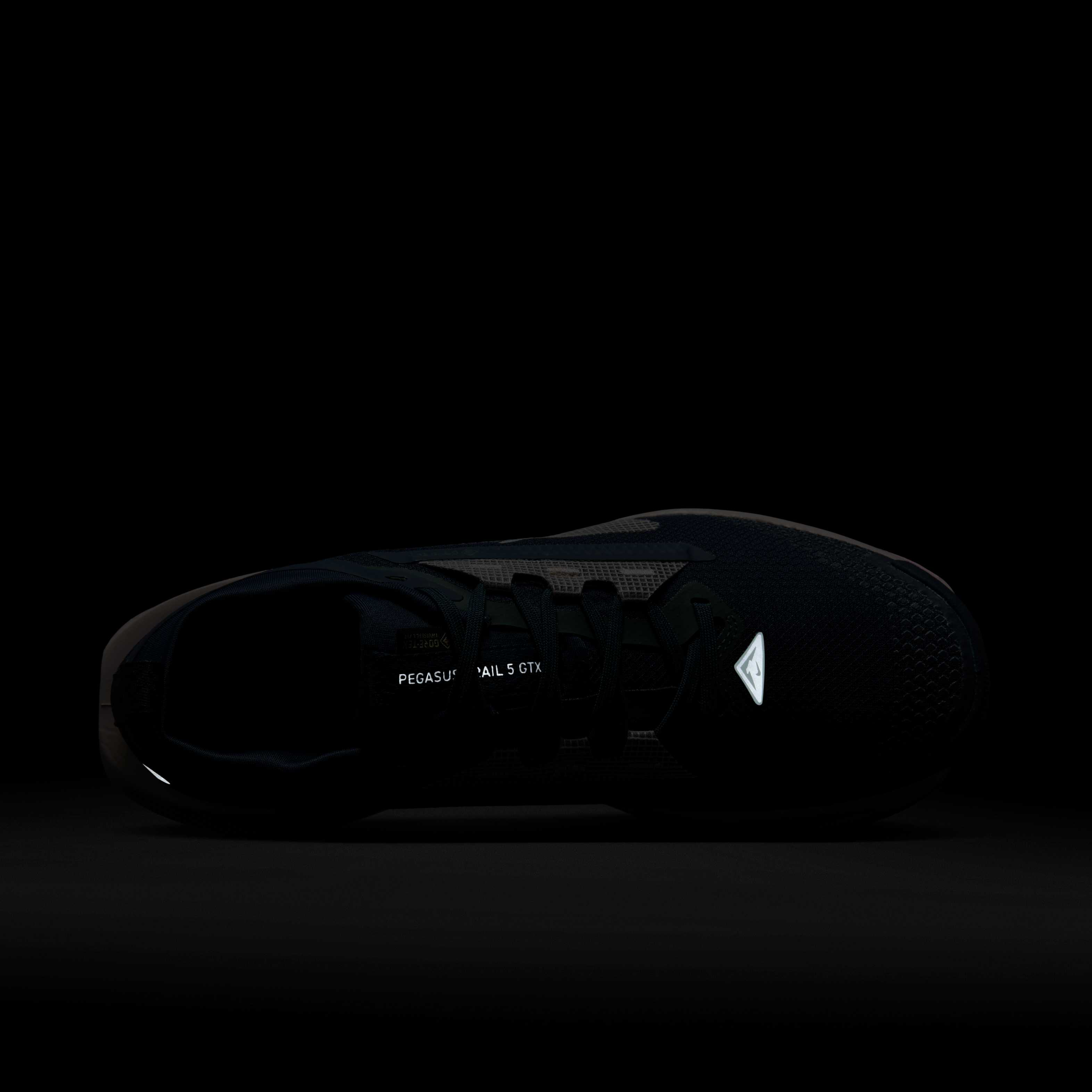 Nike Pegasus Trail 5 GORE-TEX image number 8