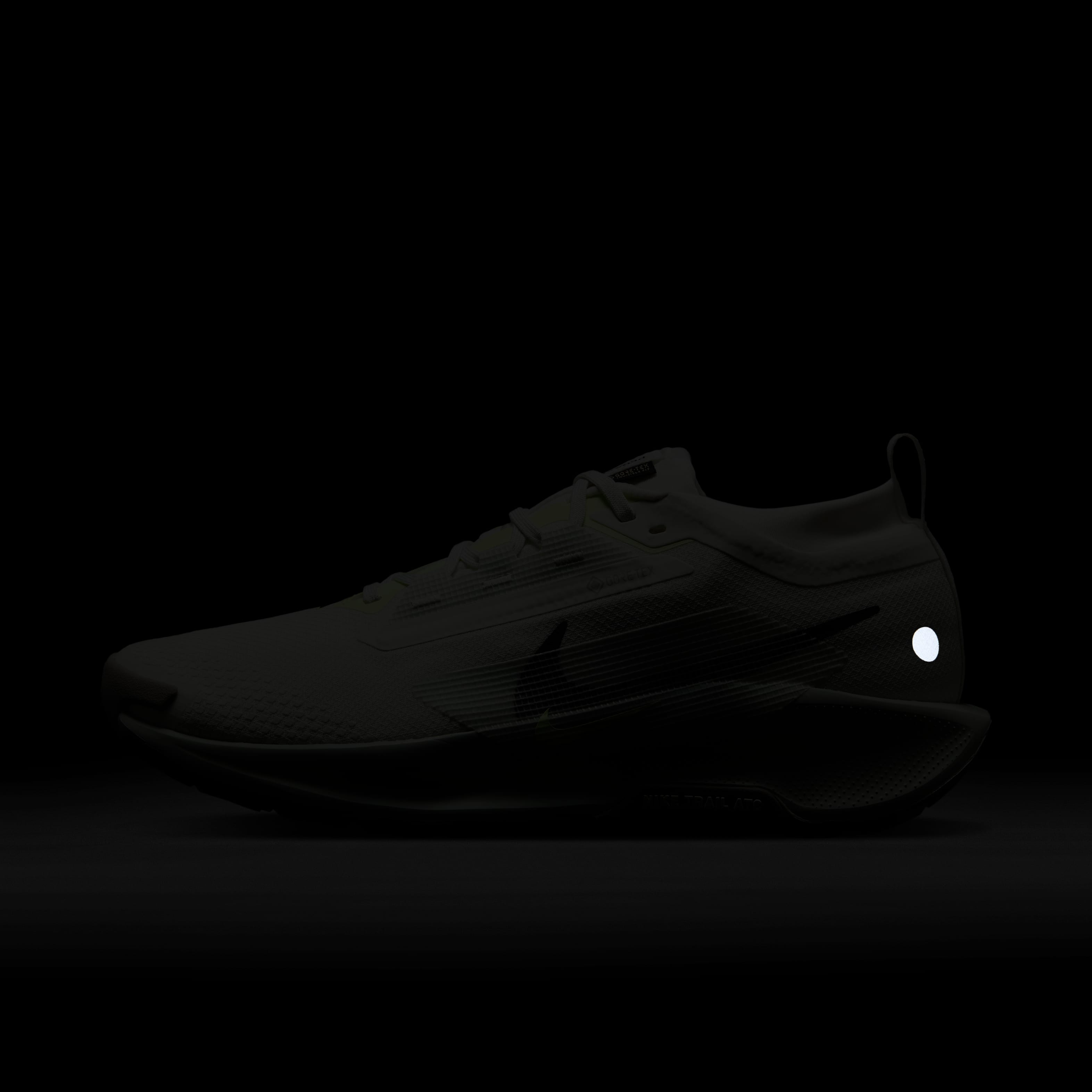 Nike Pegasus Trail 5 GORE-TEX image number 9