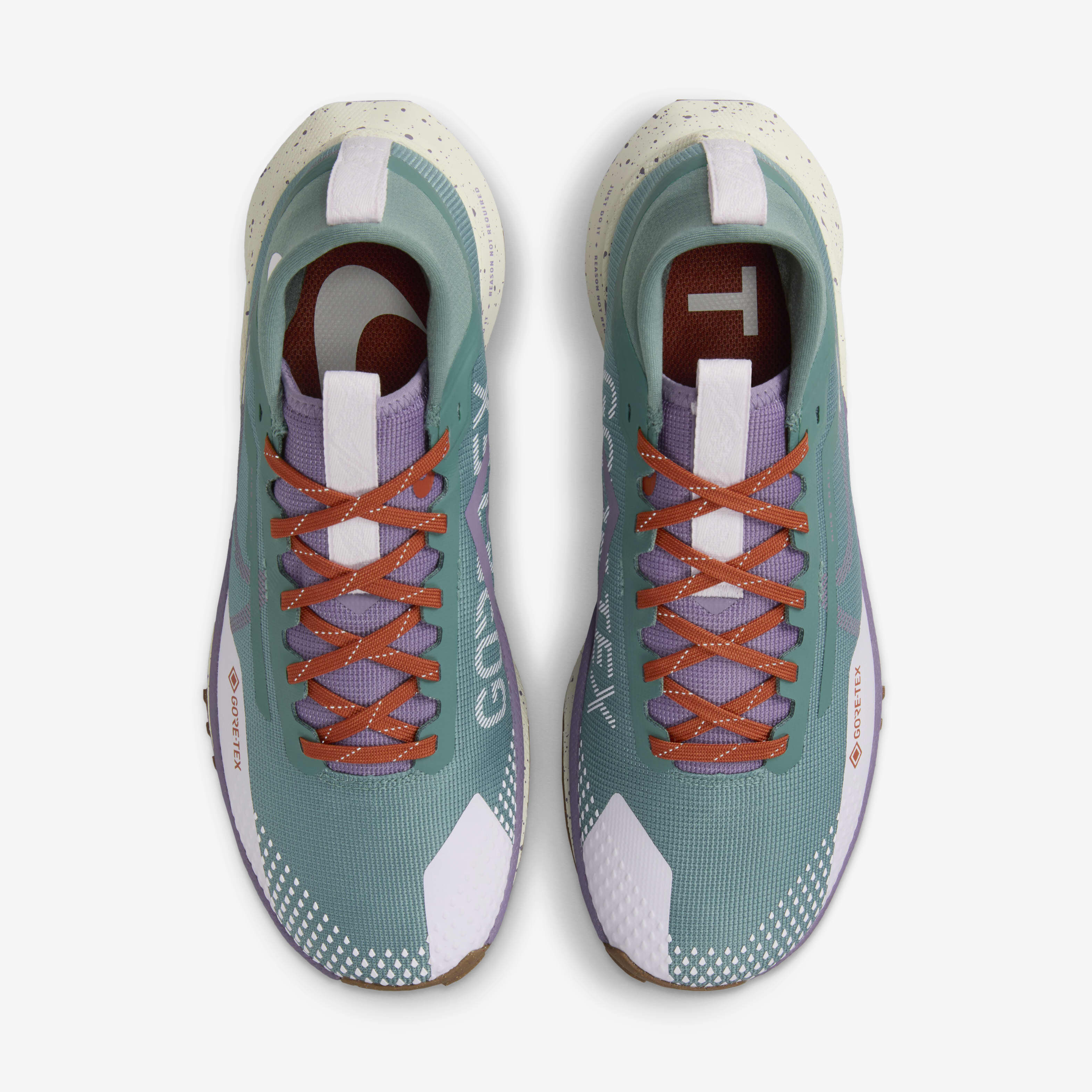 Nike Pegasus Trail 4 GORE-TEX image number 3