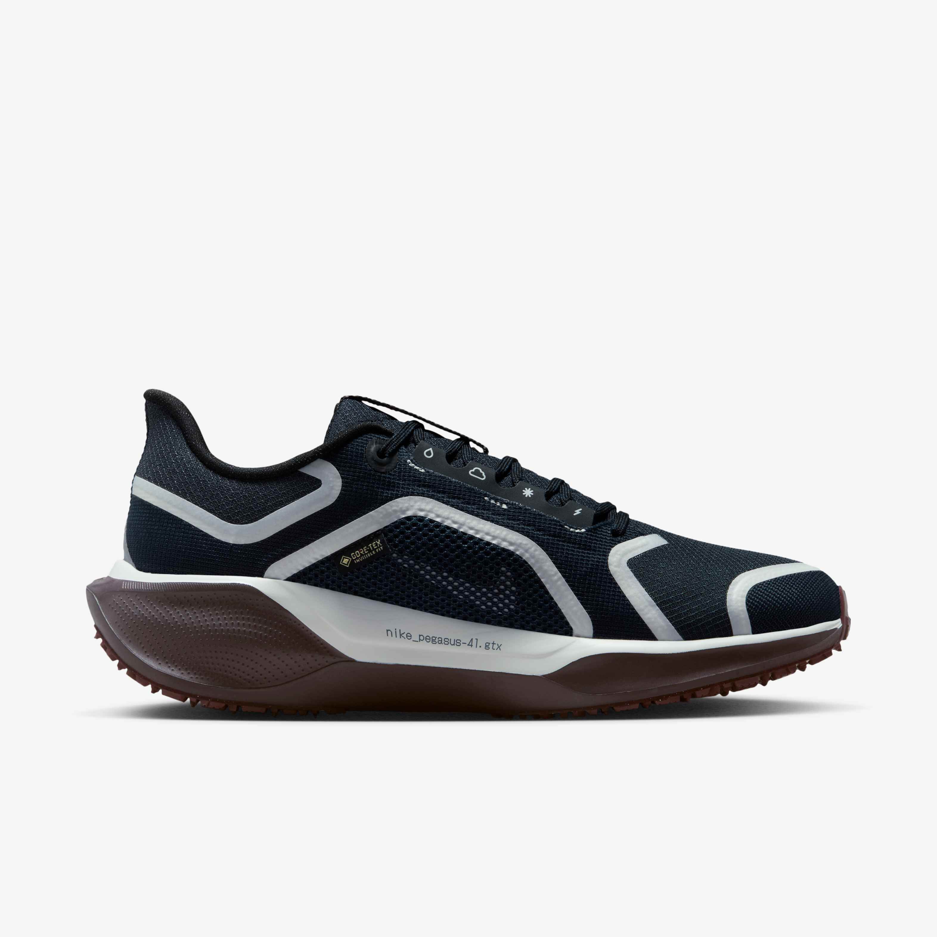 Nike Pegasus 41 GORE-TEX image number 2