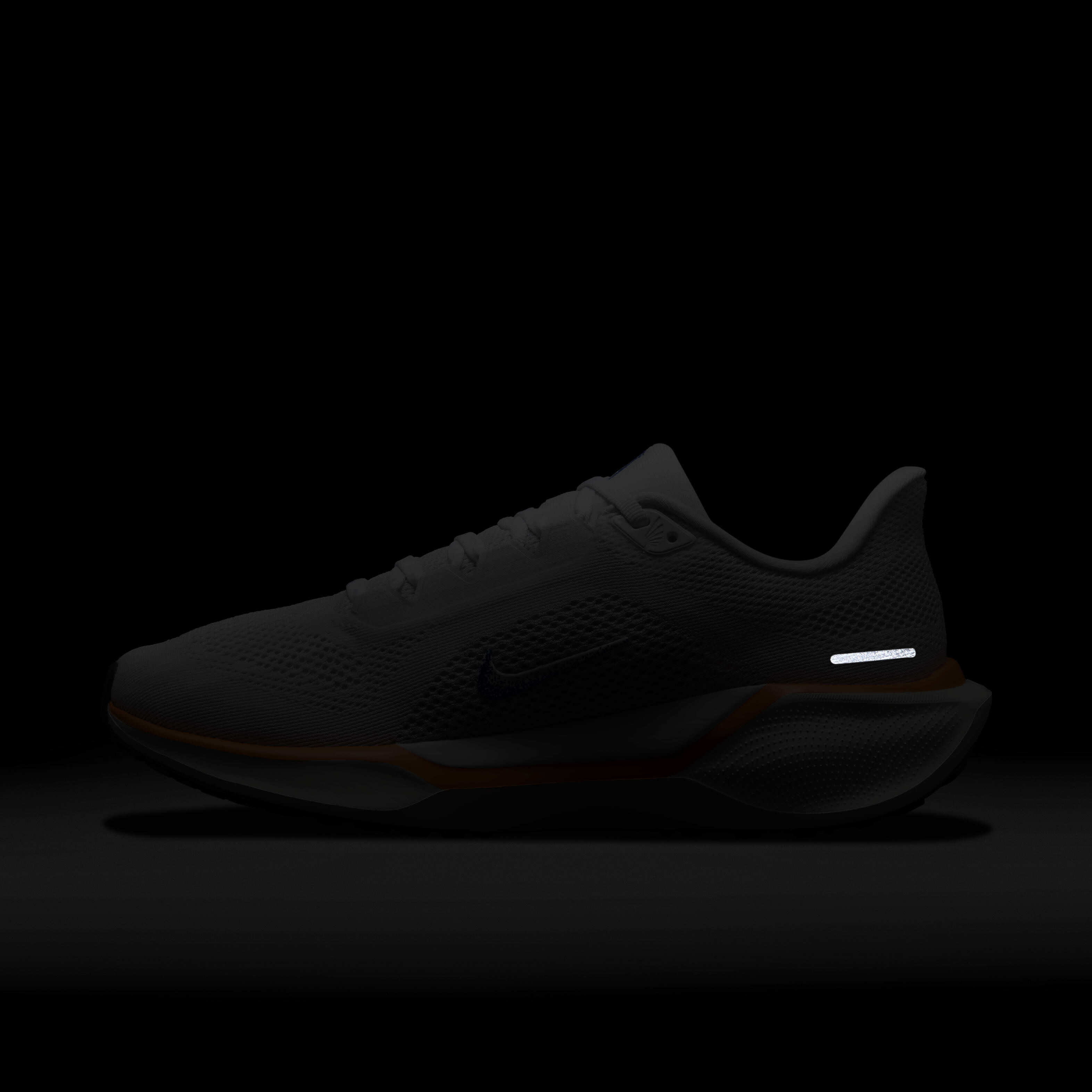 نايكي بيجاسوس 41 بلوبرينت image number 12