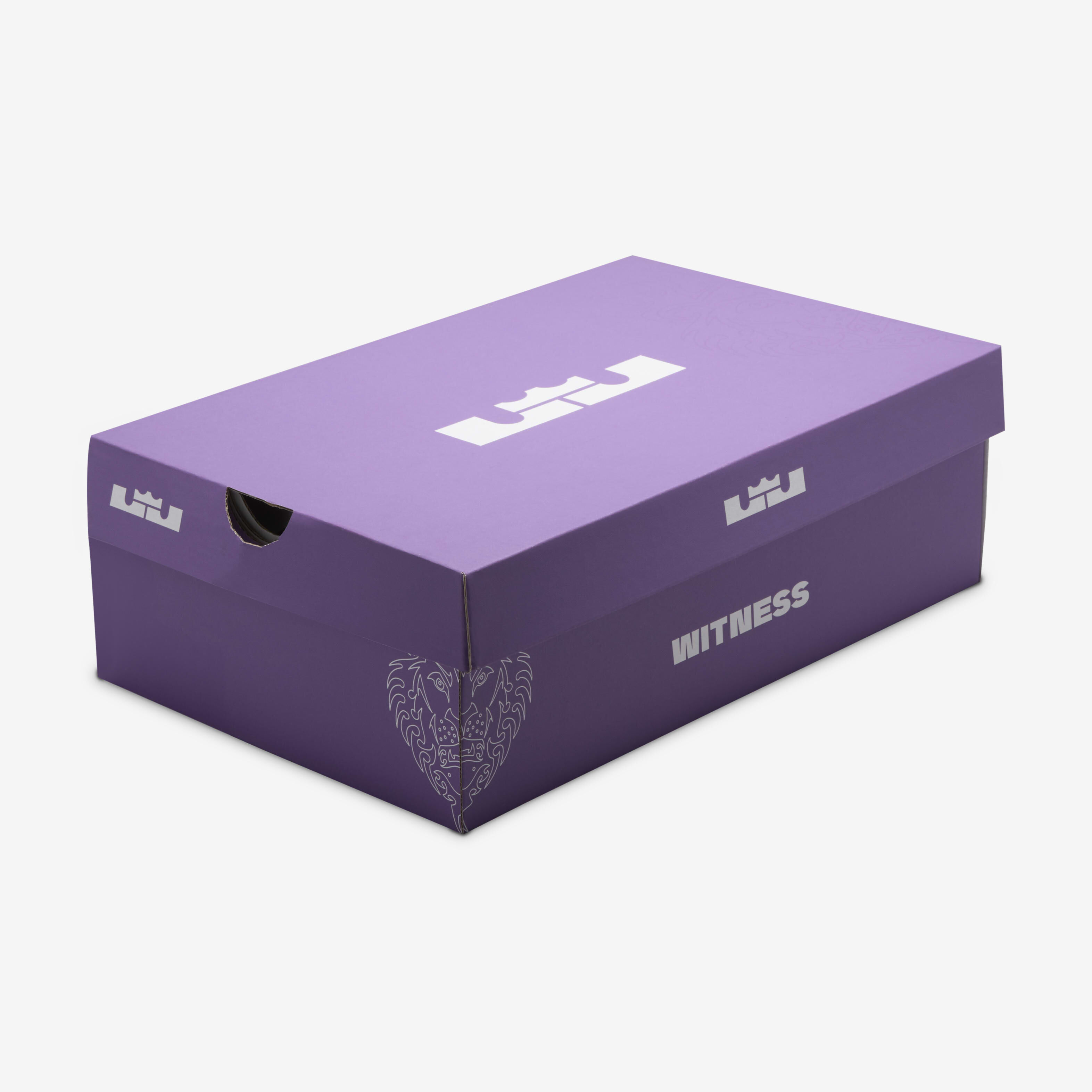 LeBron Witness 8 'I Promise School' image number 8