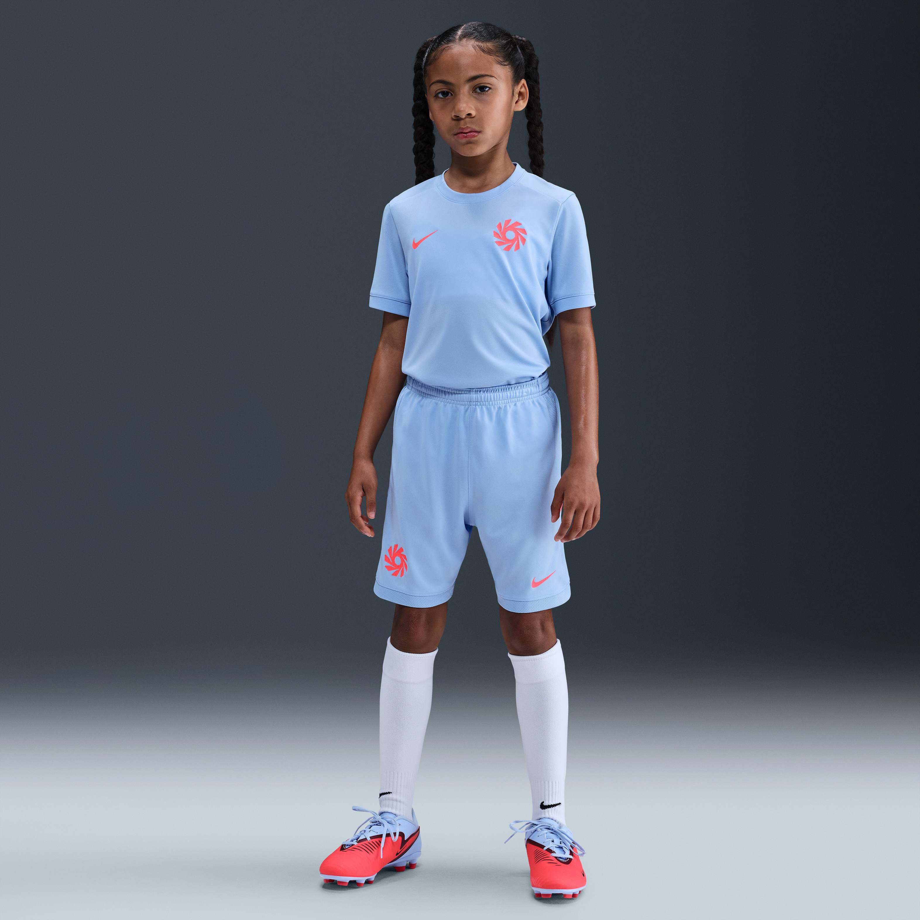 Erling Haaland Academy image number 0