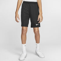 Nike Dri-FIT Park 3