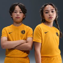 Erling Haaland Academy