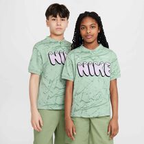 Nike SB