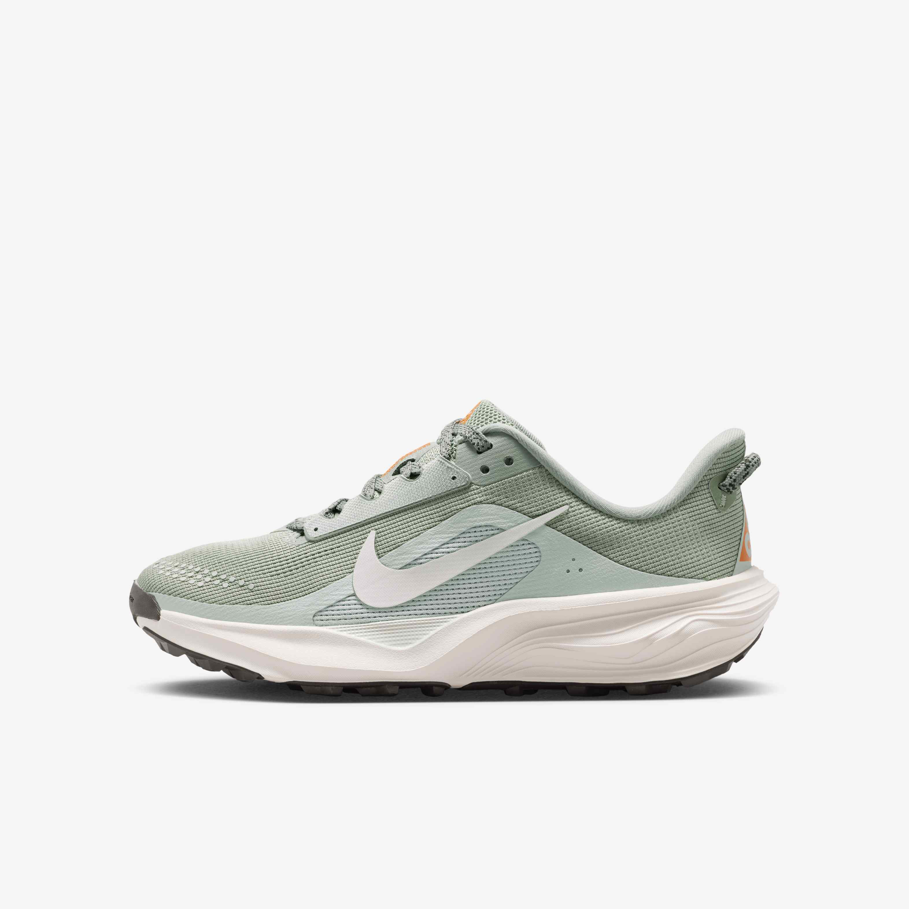 Nike ACG Pegasus Trail image number 0