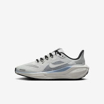 Nike Pegasus 41