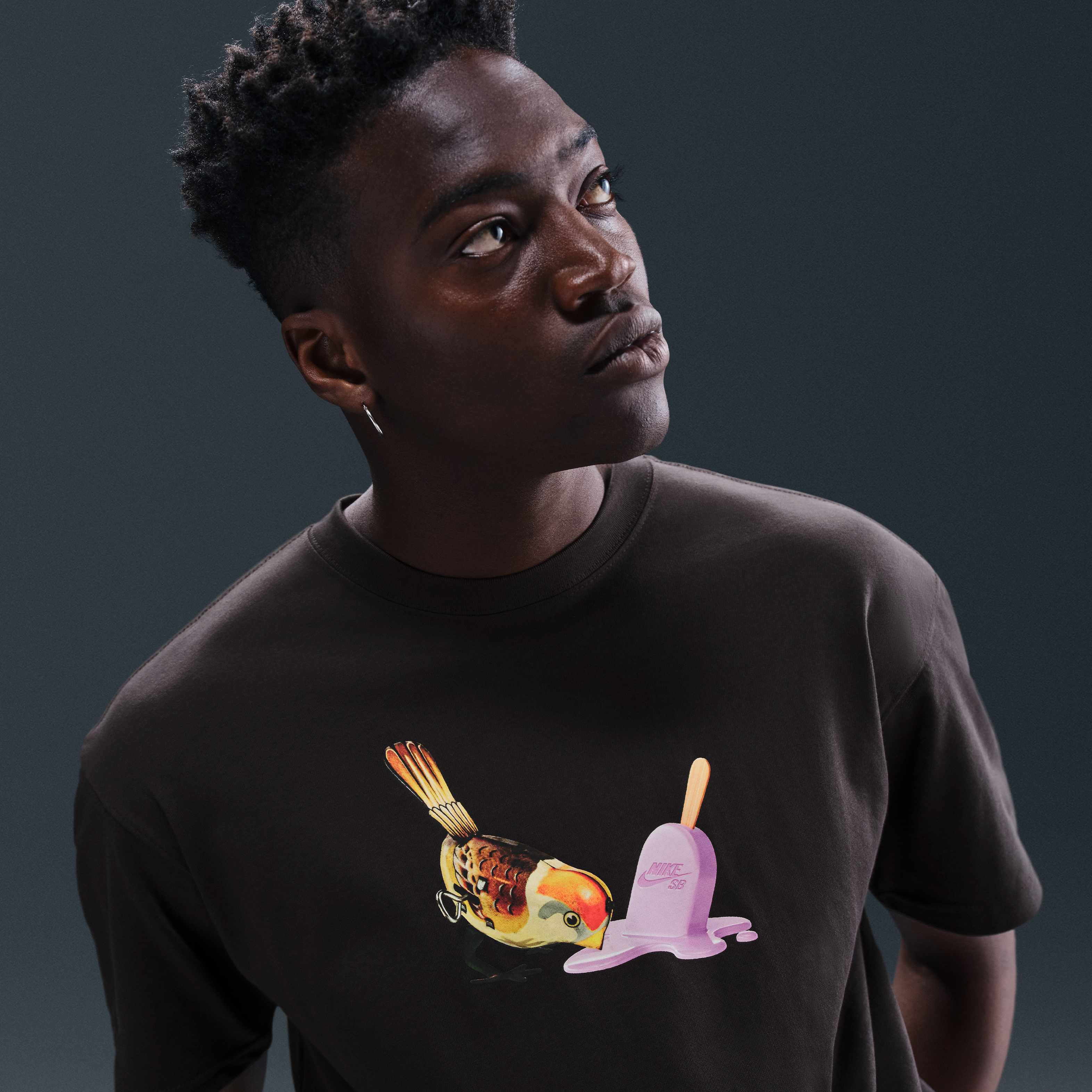 Nike SB image number 2