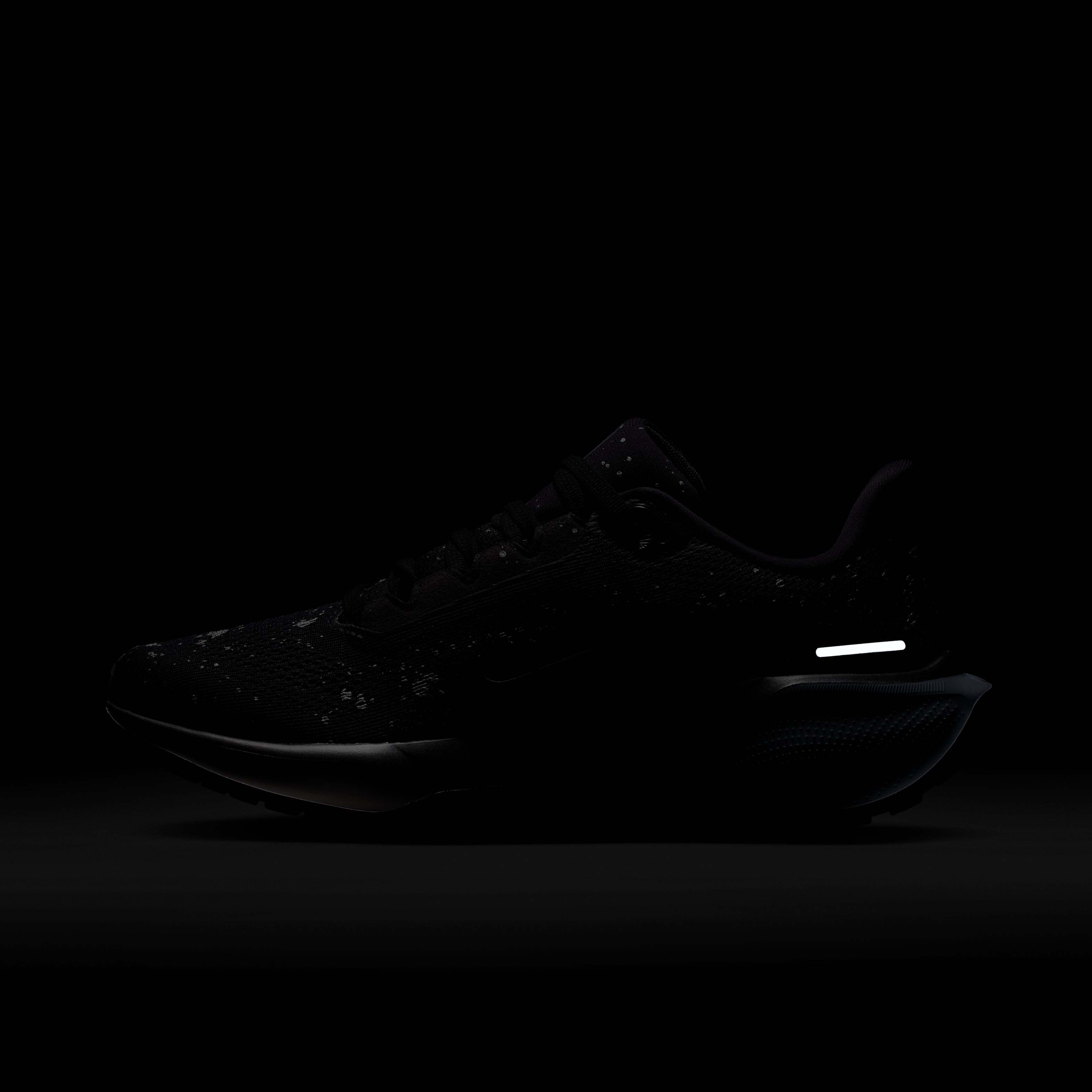 نايكي بيجاسوس 41 SE image number 10