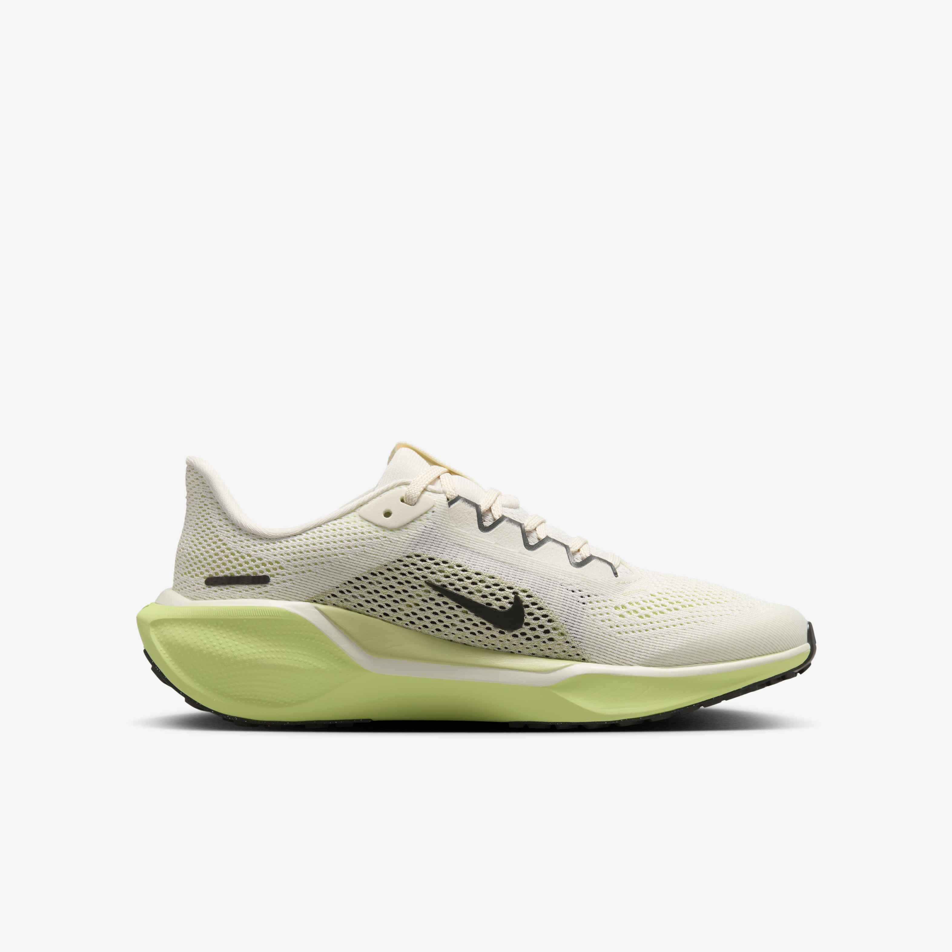 نايكي بيجاسوس 41 image number 2