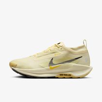 Nike Pegasus Trail 5 GORE-TEX
