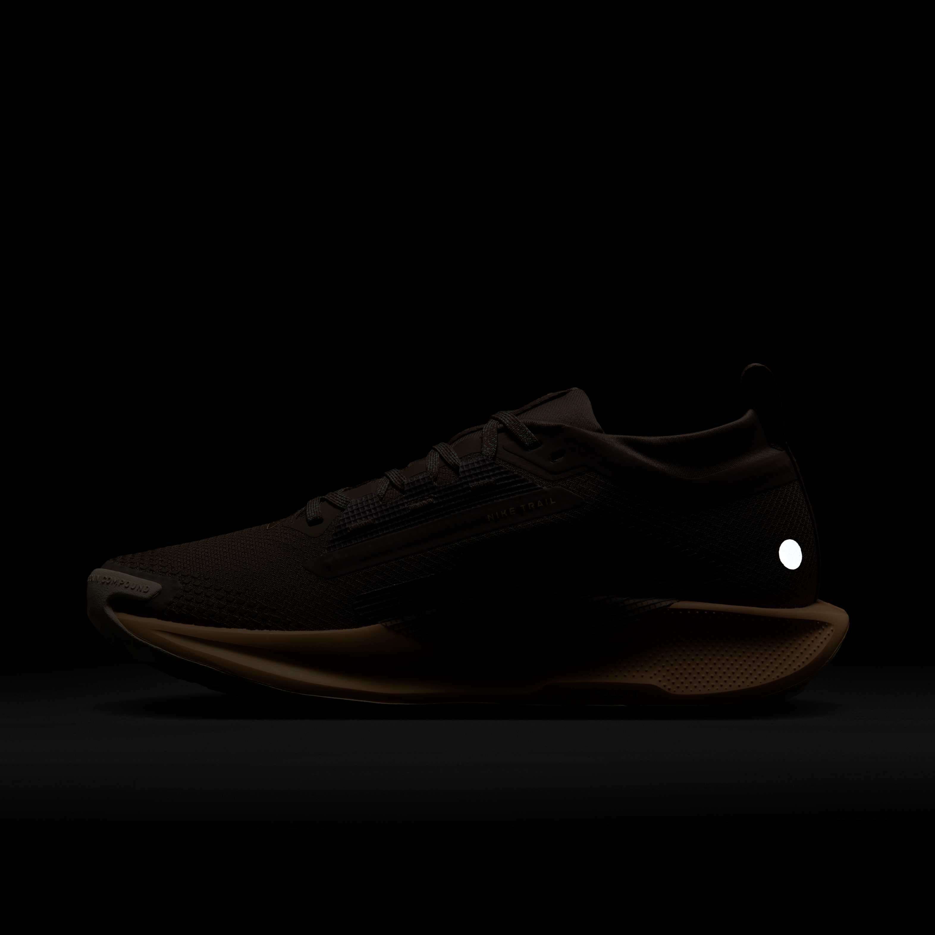 نايكي بيجاسوس تريل 5 جور-تكس image number 10