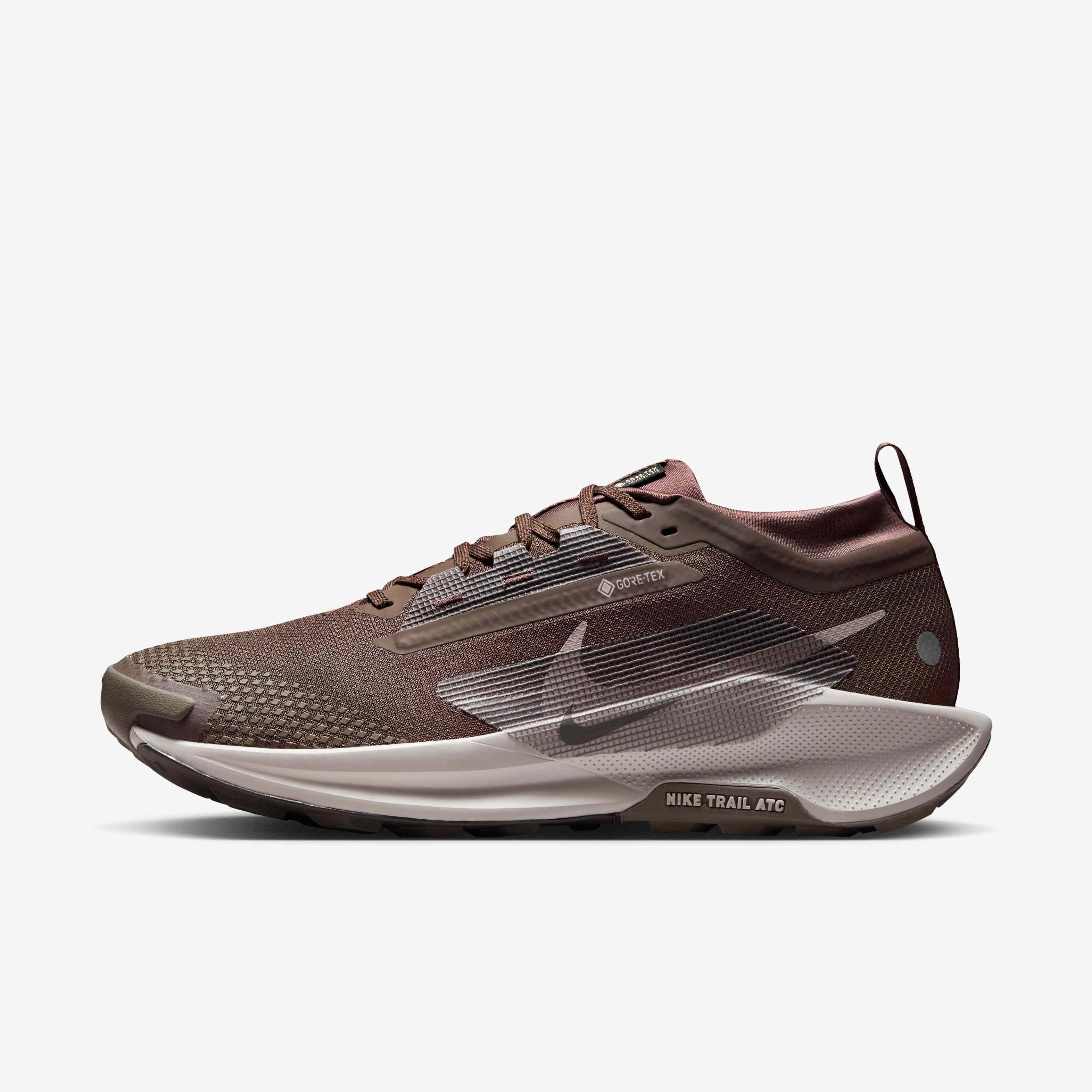 Nike Pegasus Trail 5 GORE-TEX image number 0