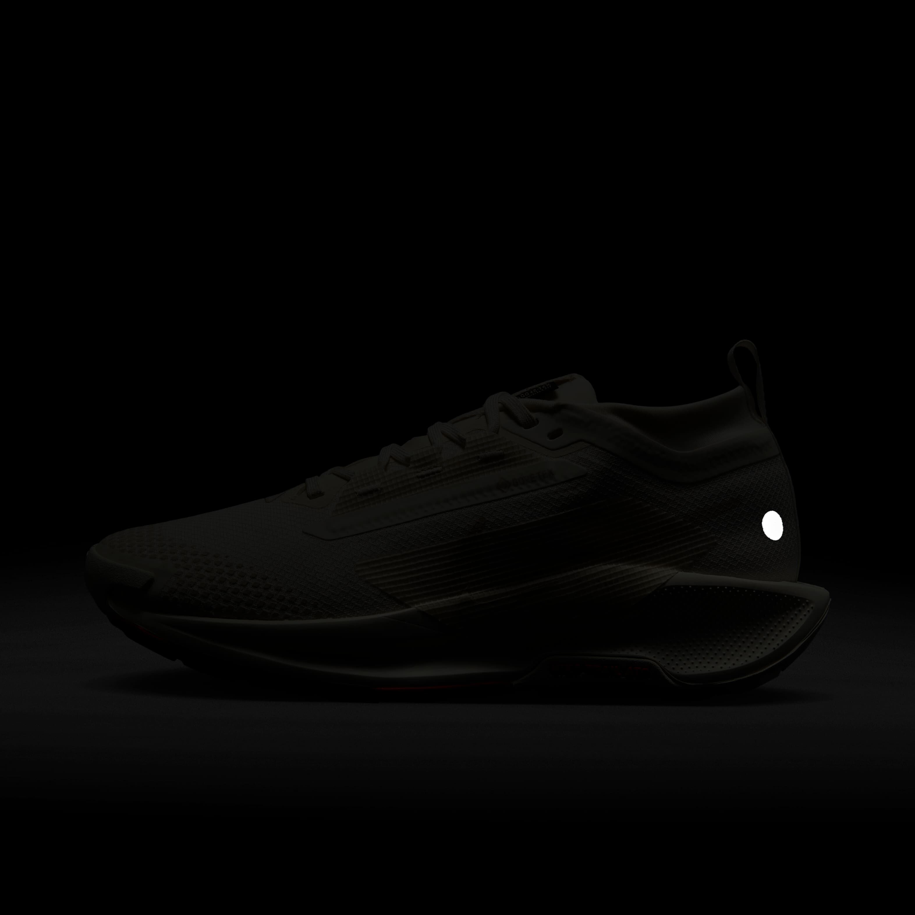 نايكي بيجاسوس تريل 5 جور-تكس image number 8