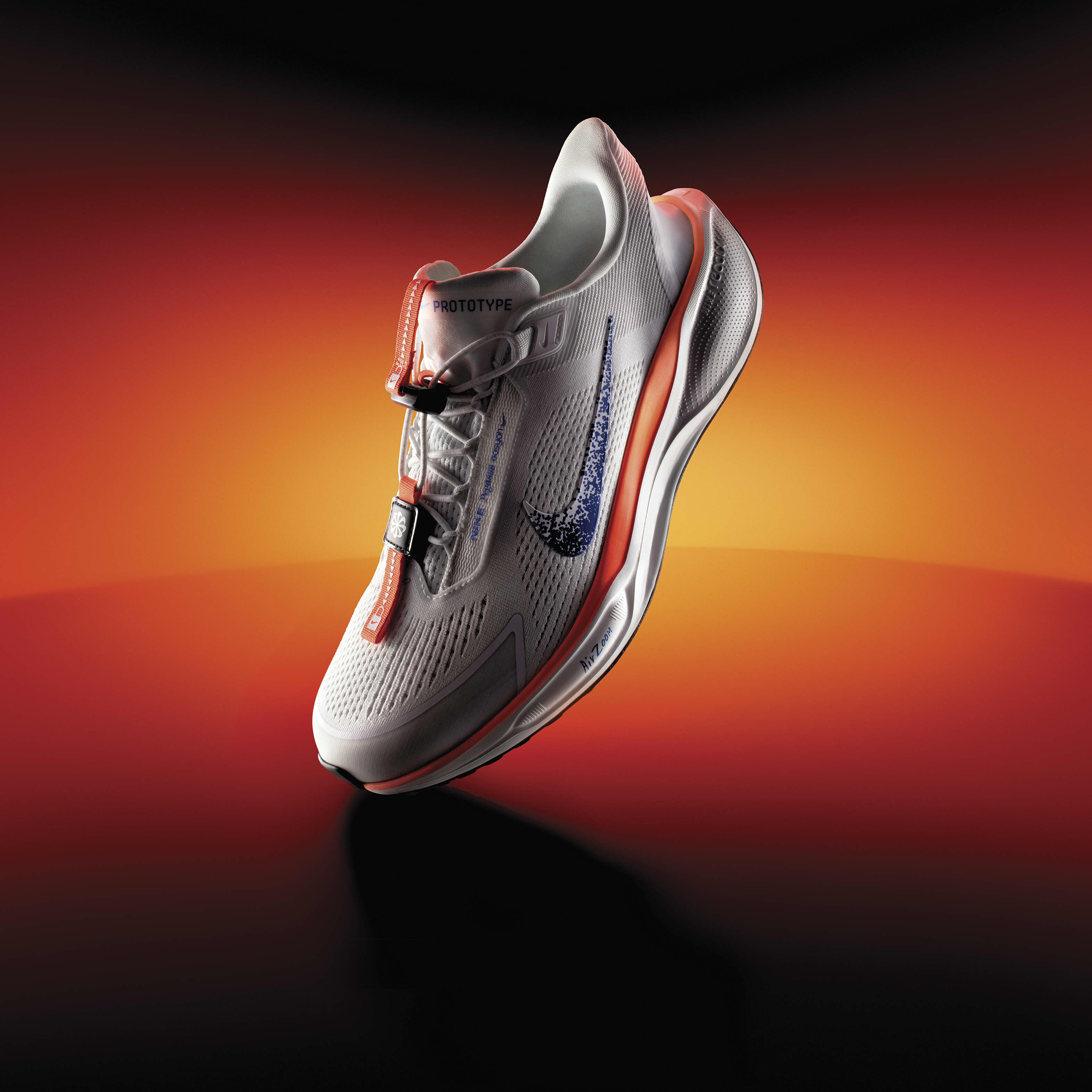 ◆正規品◆NIKE AIR PEGASUS EASYON BLUEPRINT(W)◆関税/送料込 Nike Pegasus EasyOn Blueprint - Jan 2024 - HM0374-900