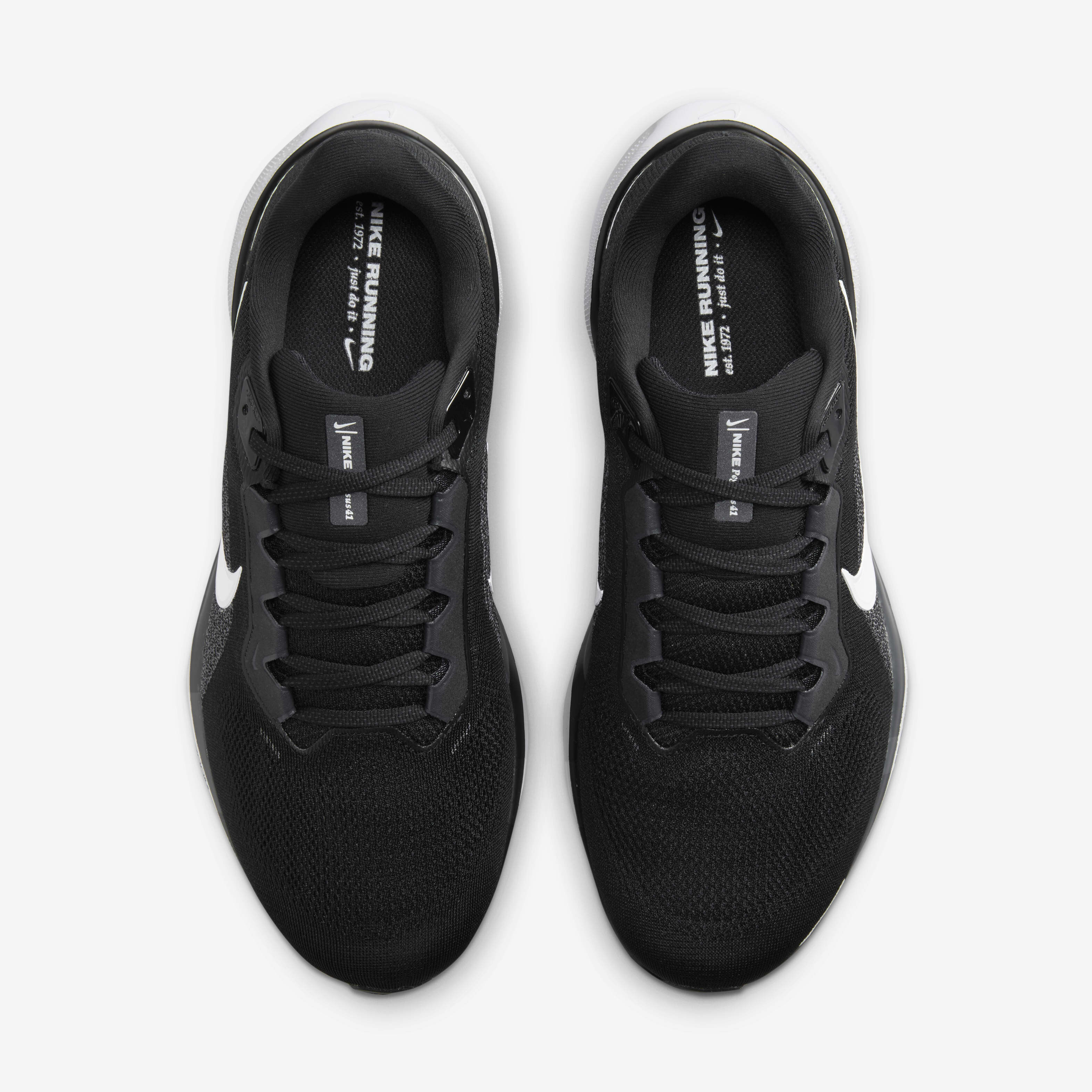 Buy Nike Pegasus 41