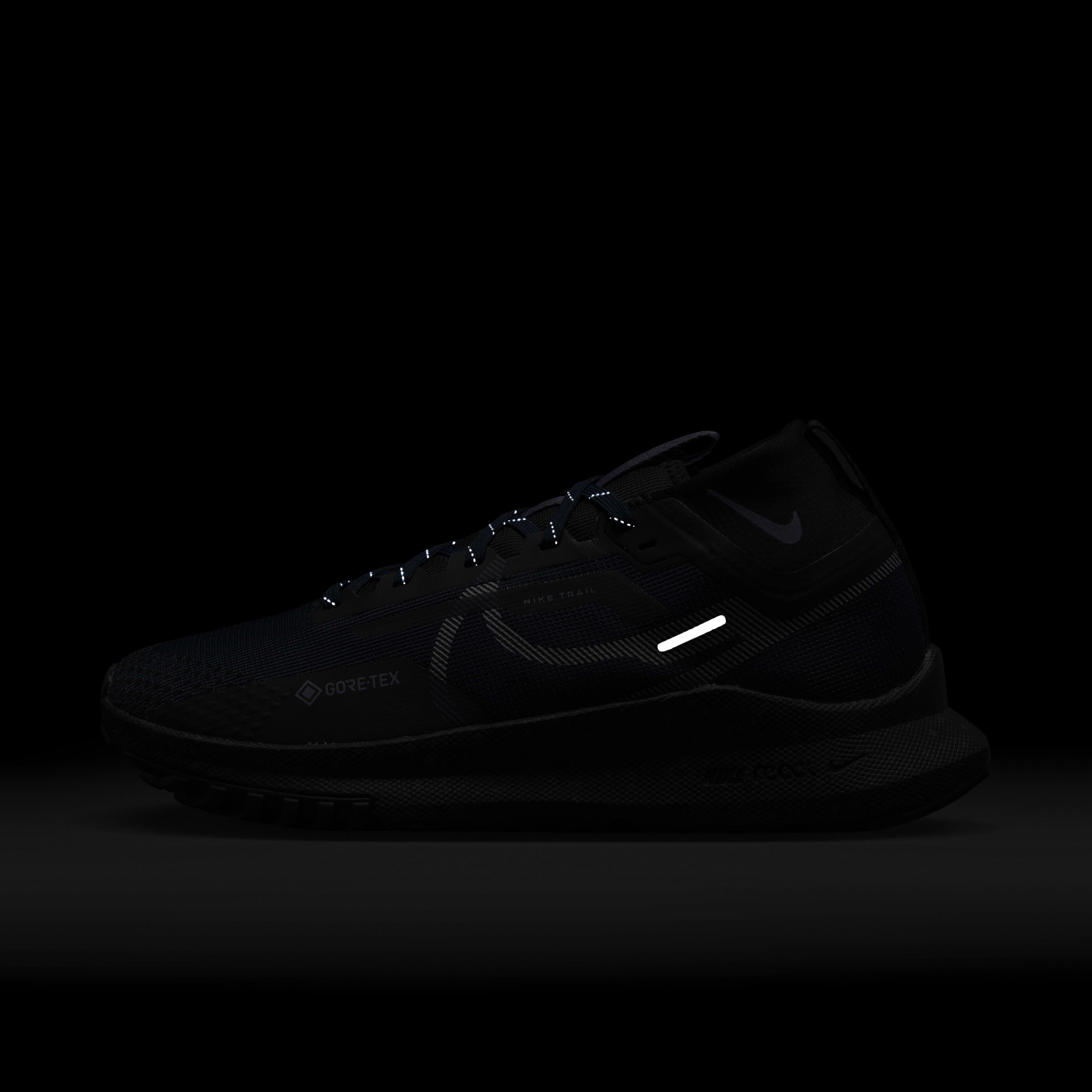 Nike Pegasus Trail 4 GORE-TEX image number 9