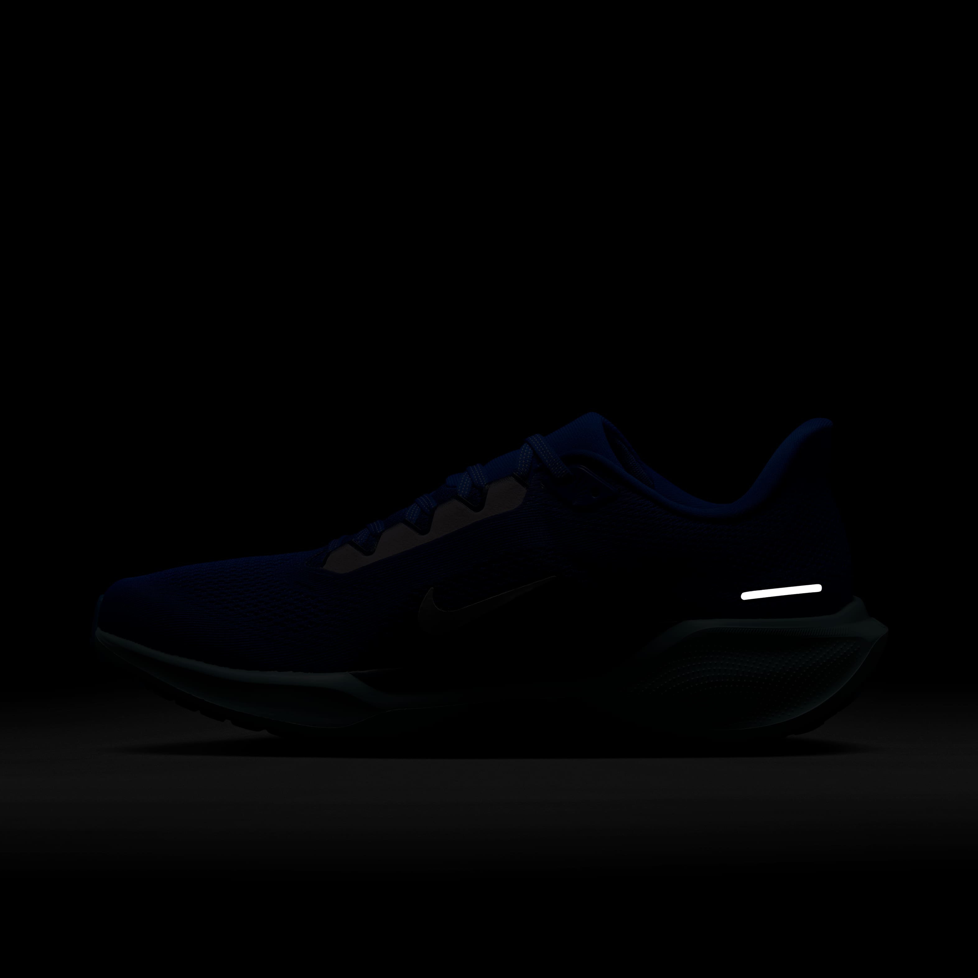 نايكي بيجاسوس 41 image number 11