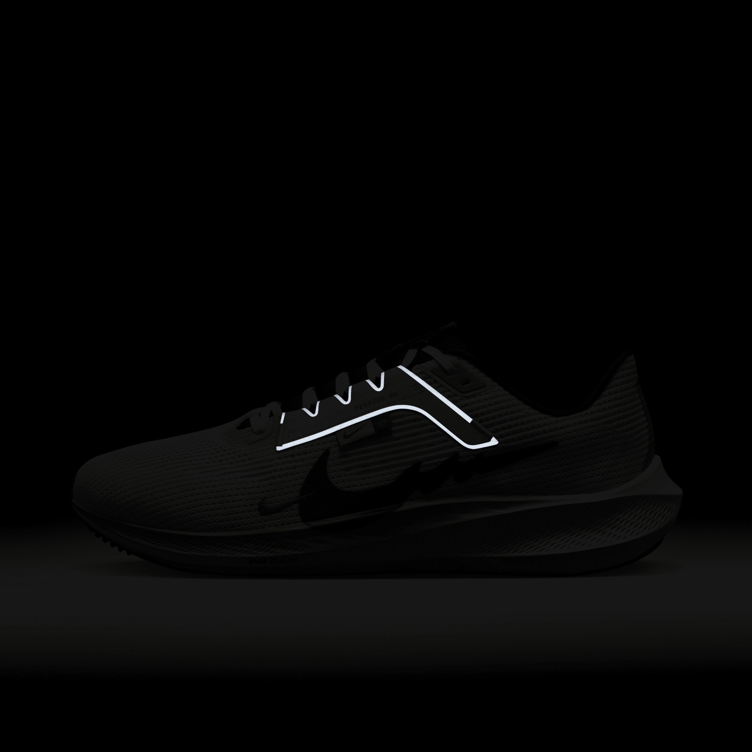 nike pegasus 10