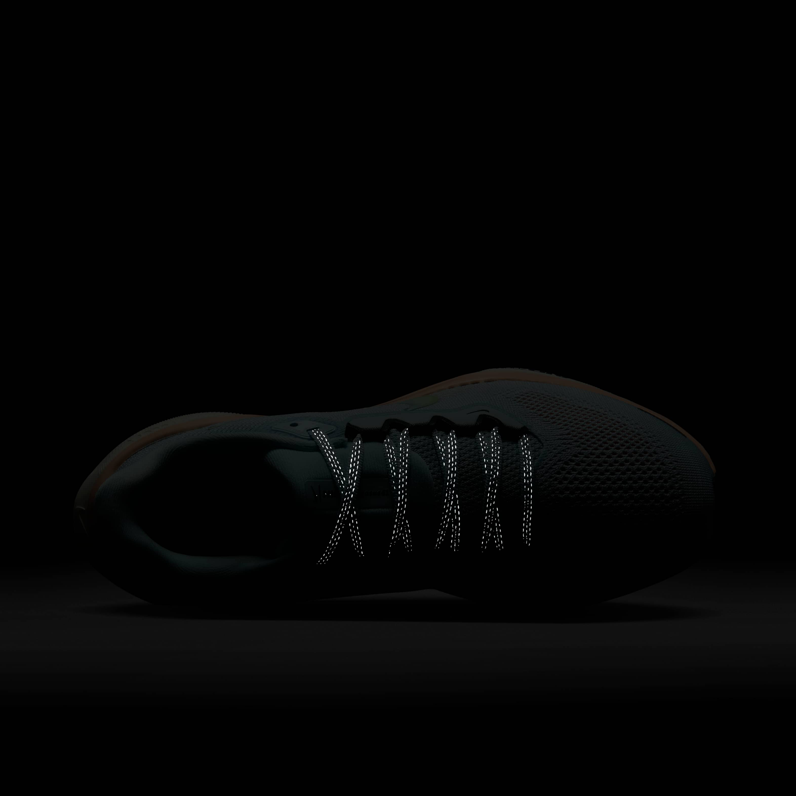 نايكي بيجاسوس 41 بريميوم image number 8