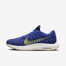 Nike Pegasus Turbo