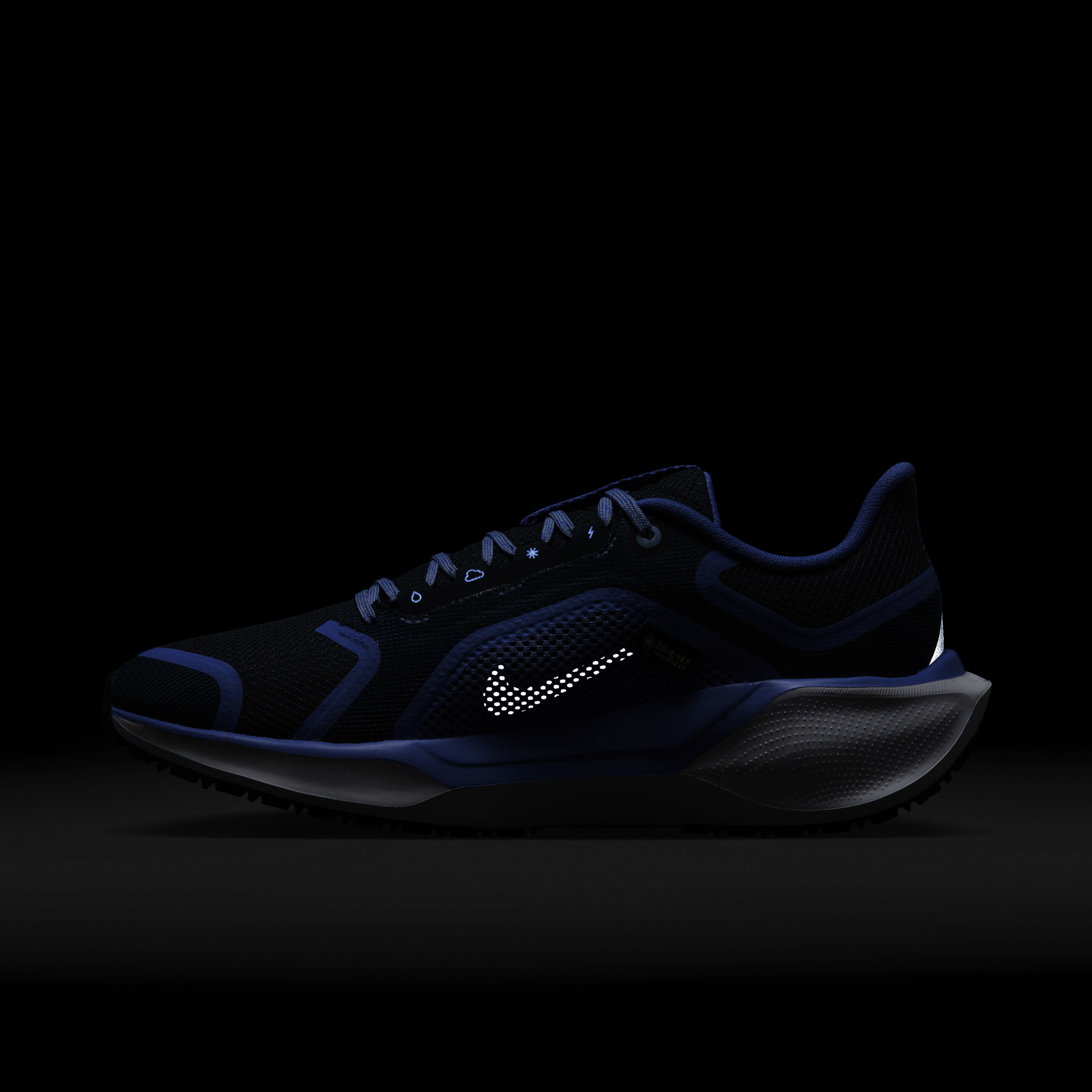 نايكي بيجاسوس 41 جور-تكس image number 10