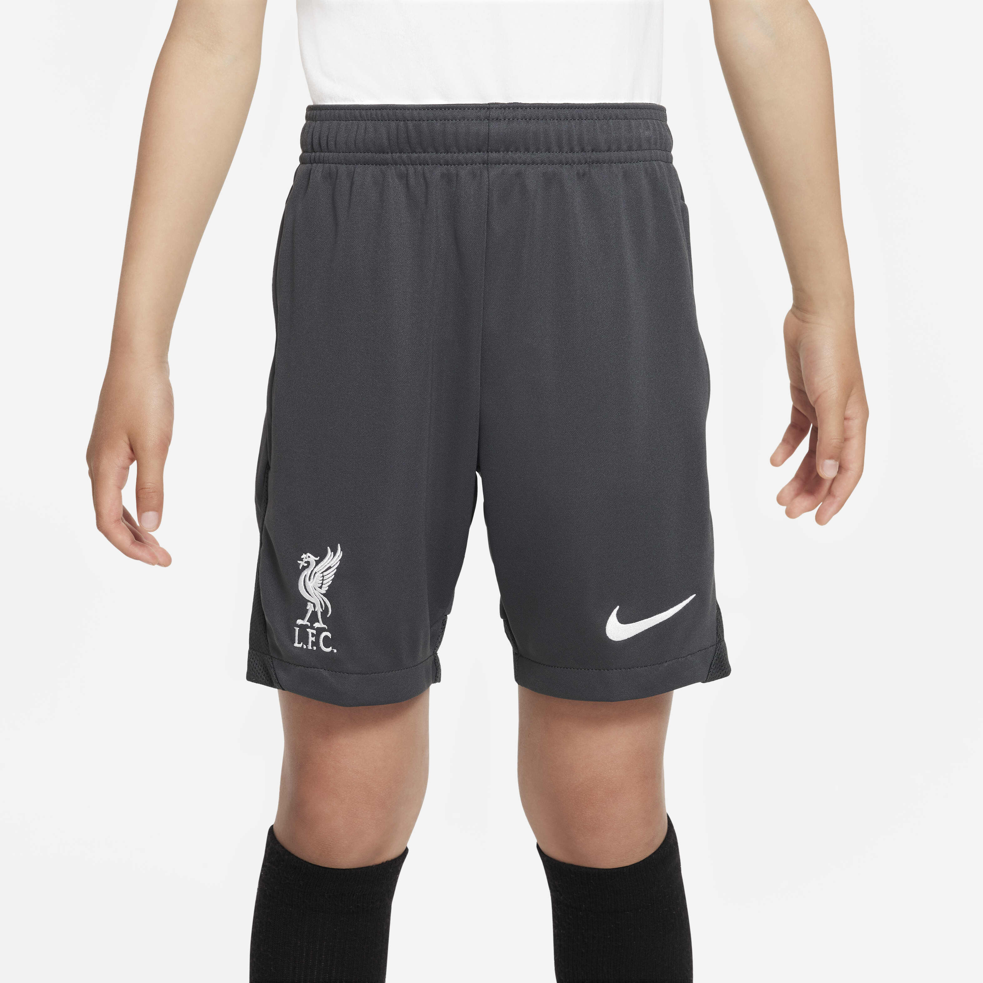 Liverpool F.C. Academy Pro image number 1