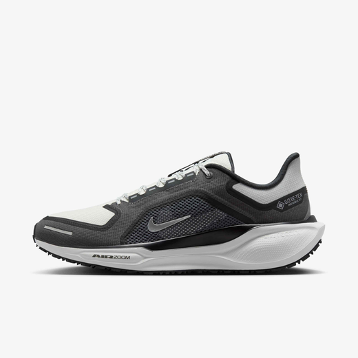 Nike Pegasus 41 GORE-TEX