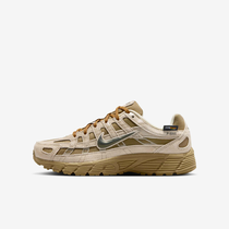 Nike P-6000 Premium