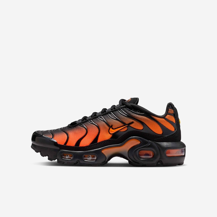 Nike Air Max Plus Tn Chaussures Reqins Nike HOT Chaussure Nike Air