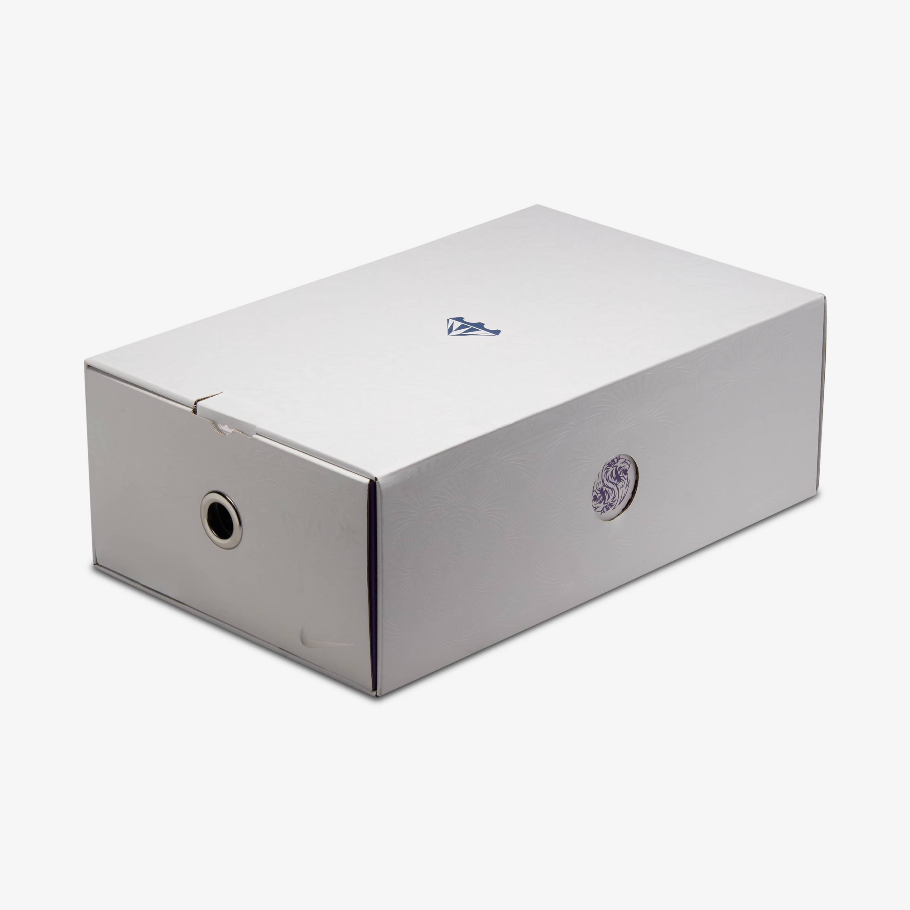 ليبرون XXII 'تانل فيجن' image number 11