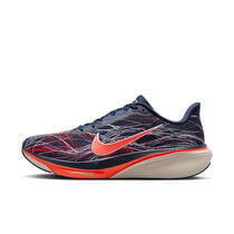 Nike Pegasus 42