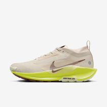 Nike Pegasus Trail 5 GORE-TEX