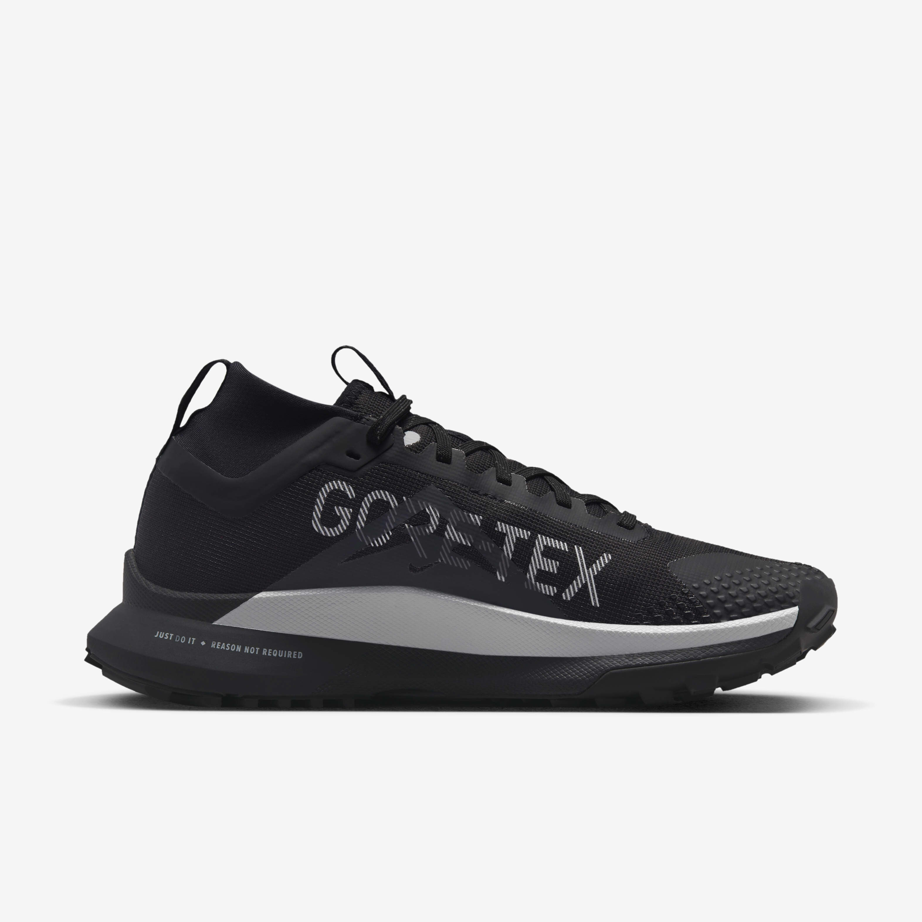 Nike Pegasus Trail 4 GORE-TEX image number 2