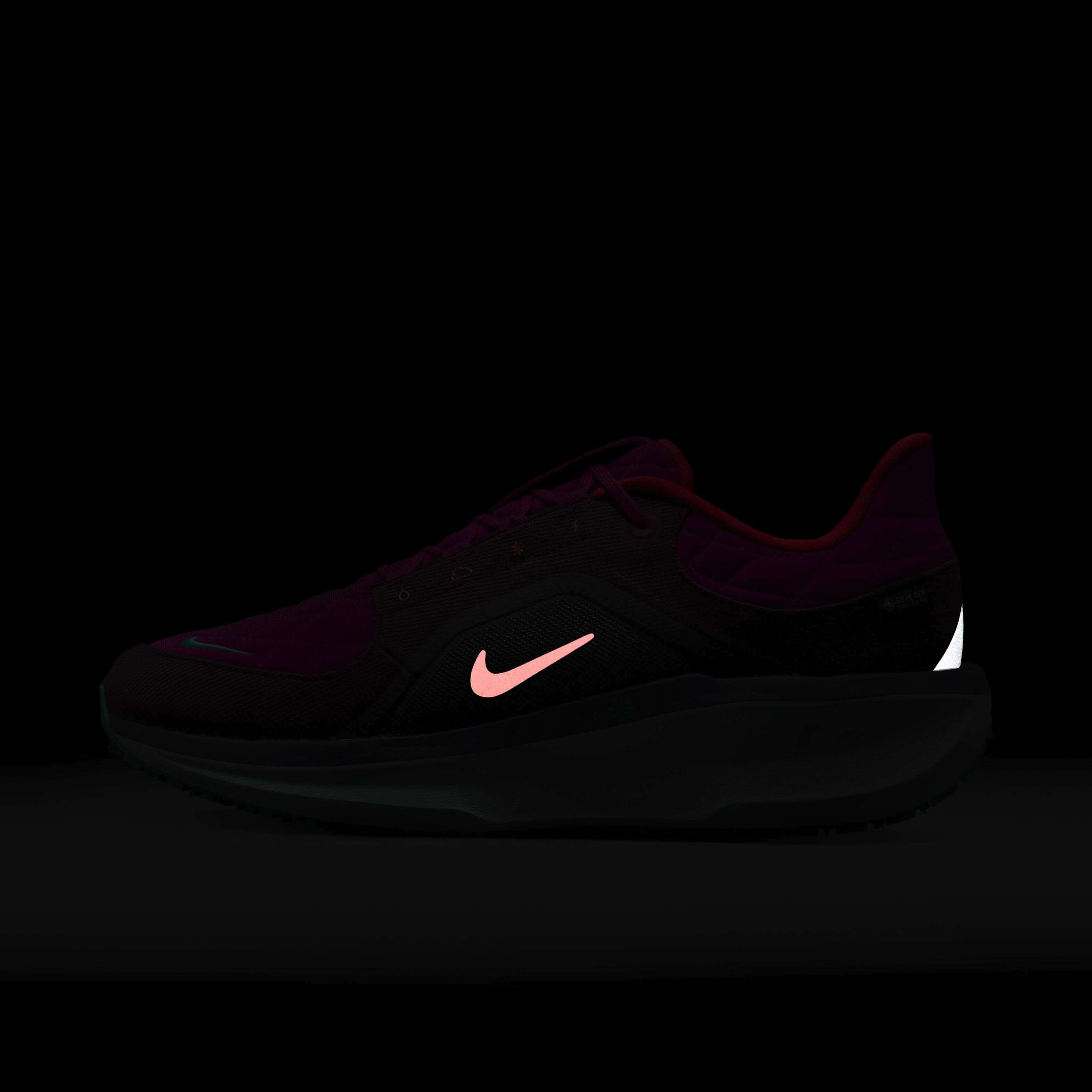 Nike Winflo 11 GORE-TEX SE image number 10