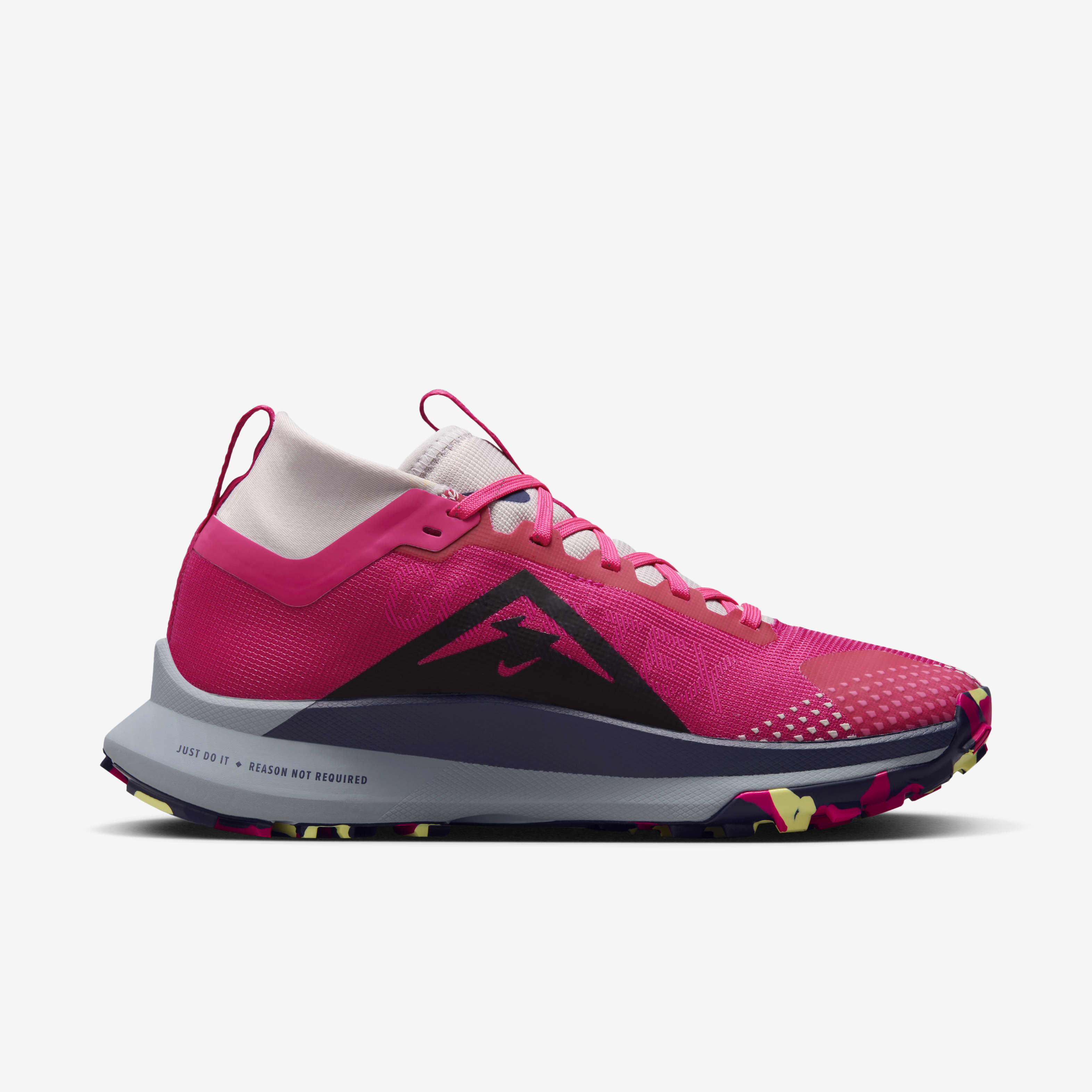 Nike Pegasus Trail 4 GORE-TEX image number 2