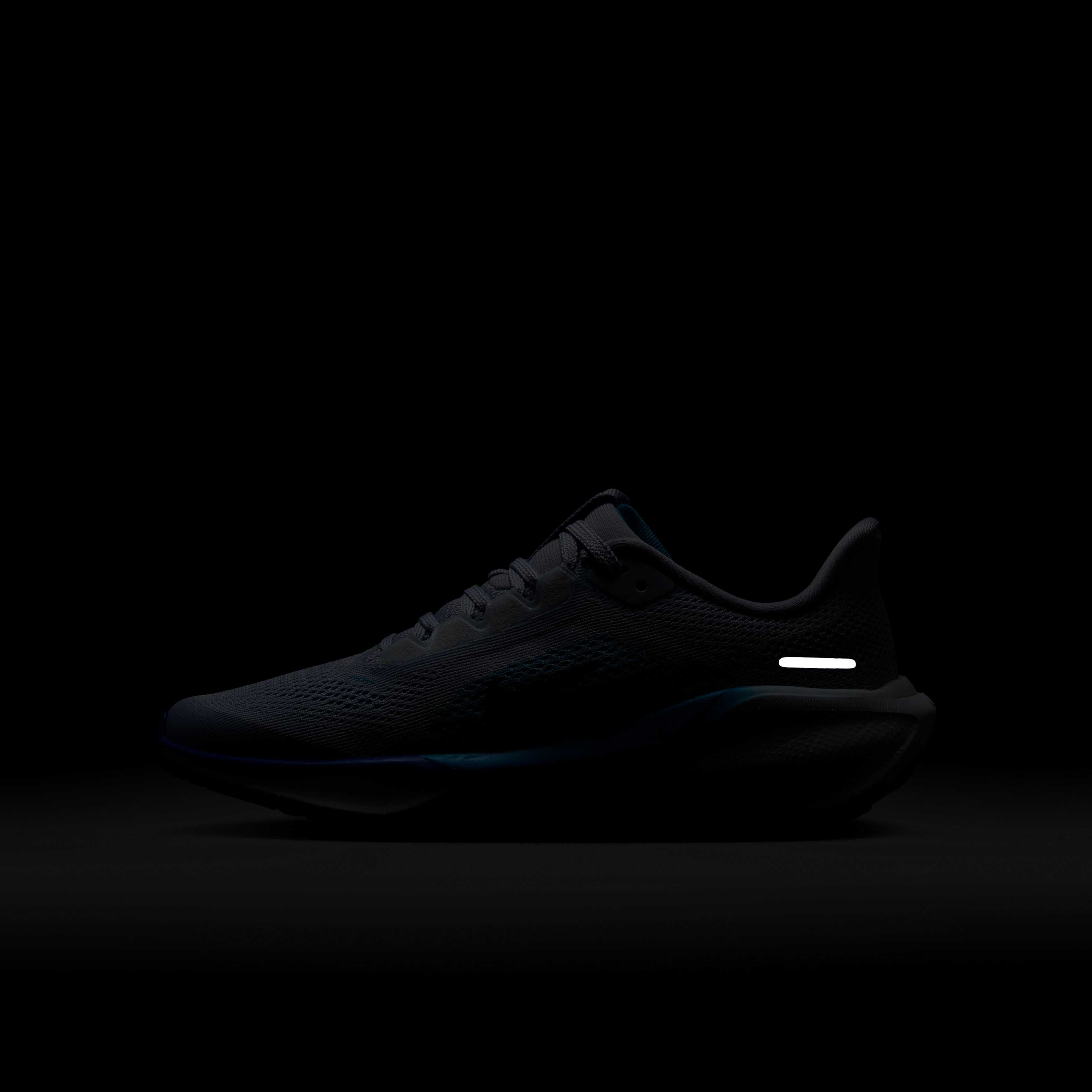 نايكي بيجاسوس 41 image number 11