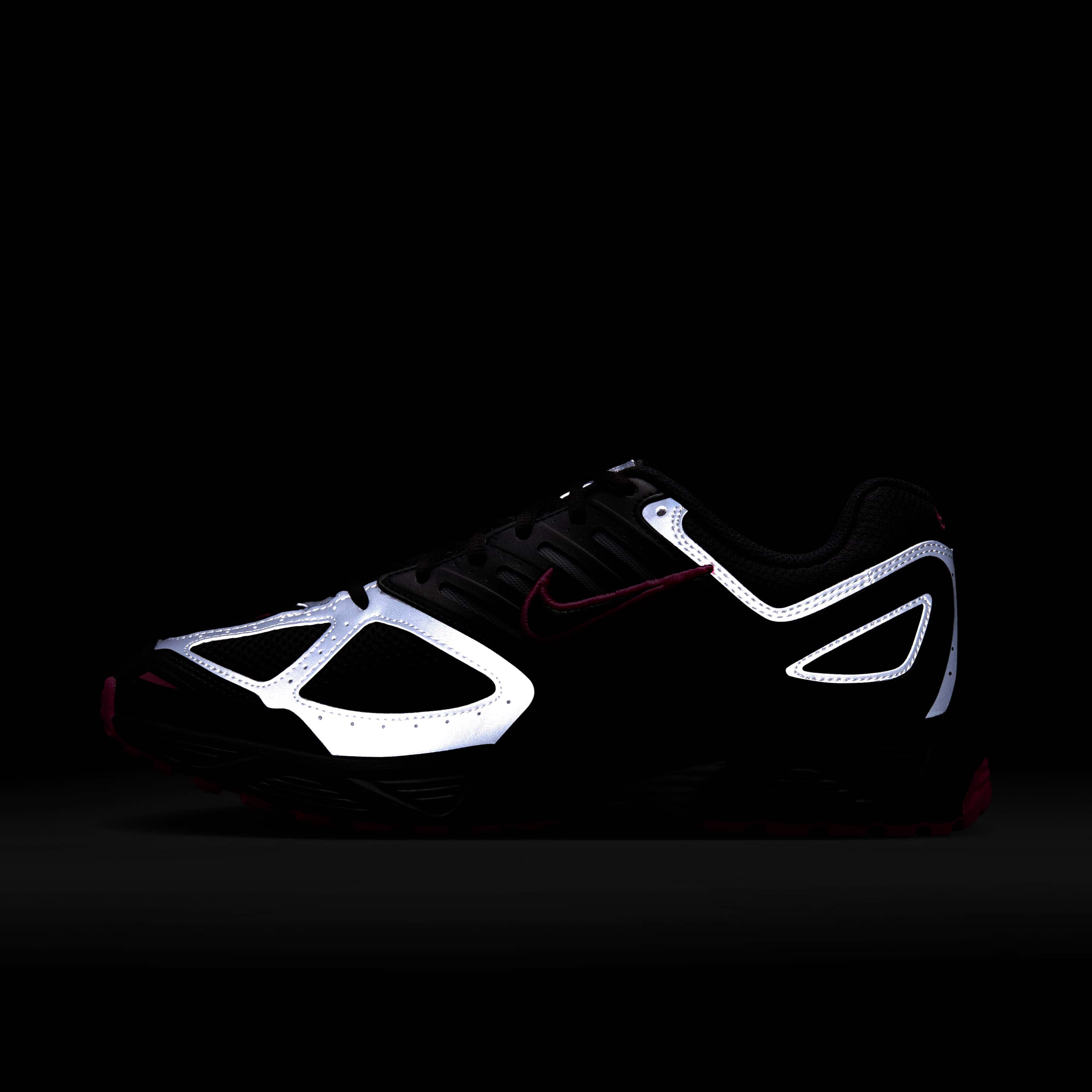 نايكي اير بيجاسوس 2005 image number 11