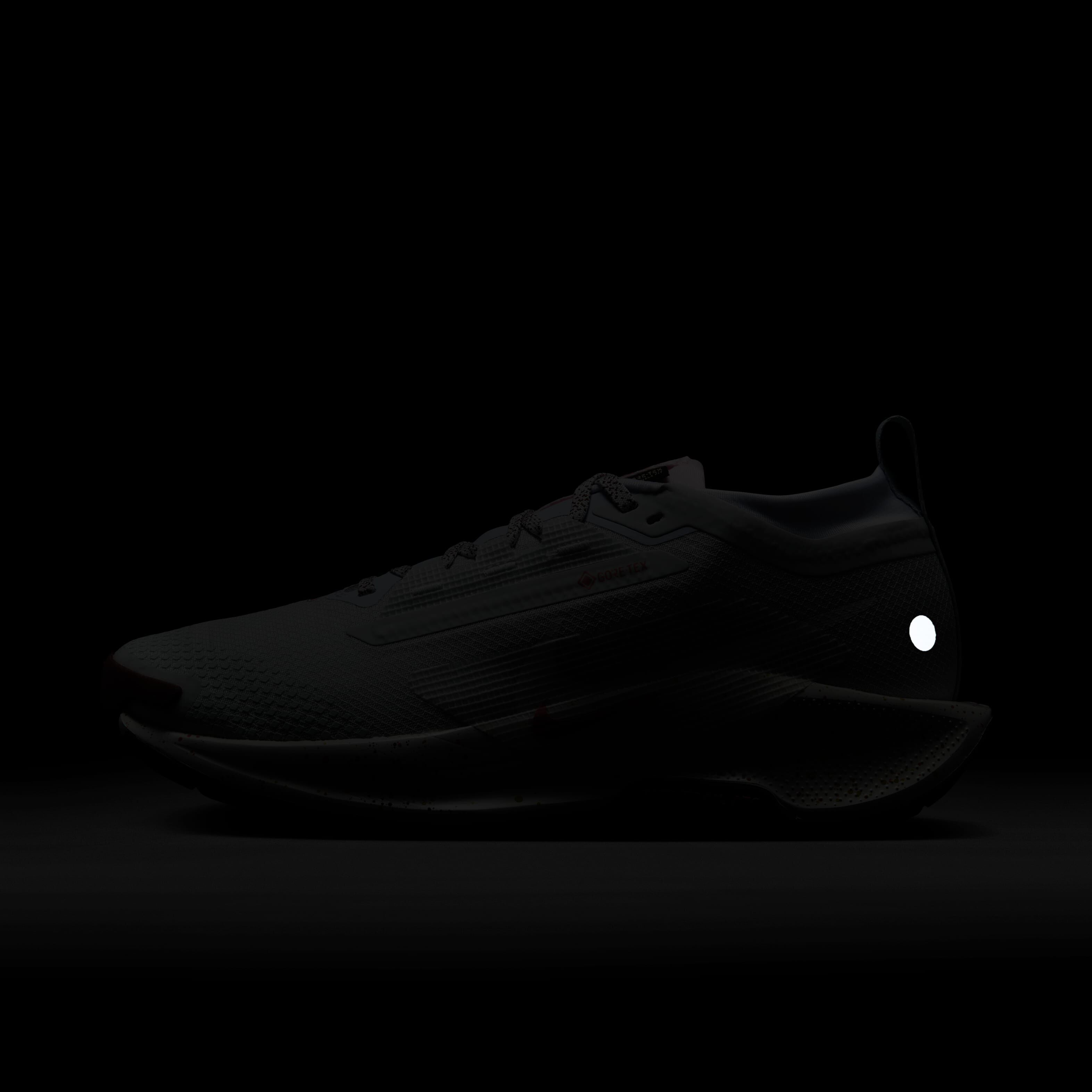 Nike Pegasus Trail 5 GORE-TEX image number 9